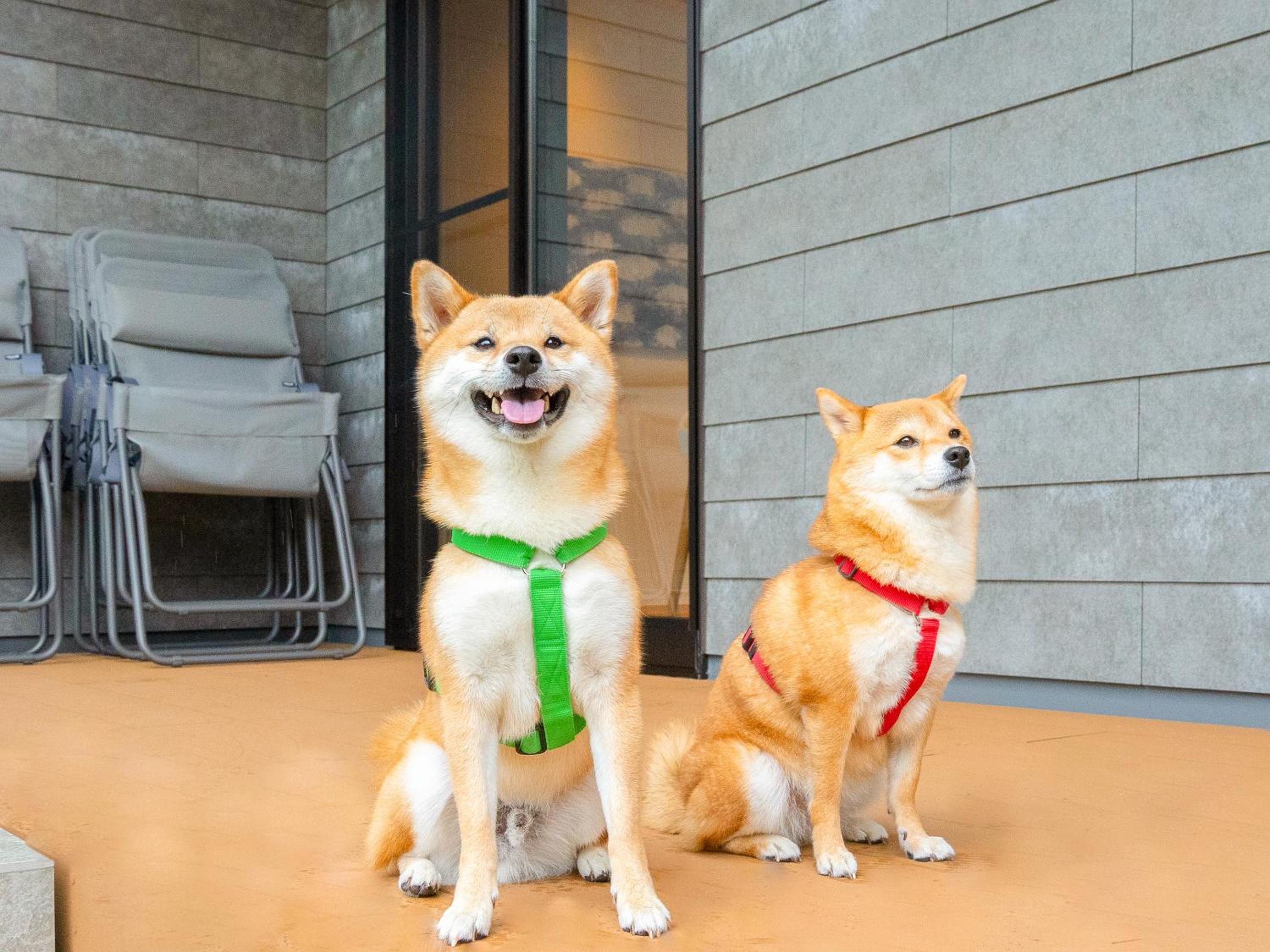 105 / Pets Allowed  - Photo 94