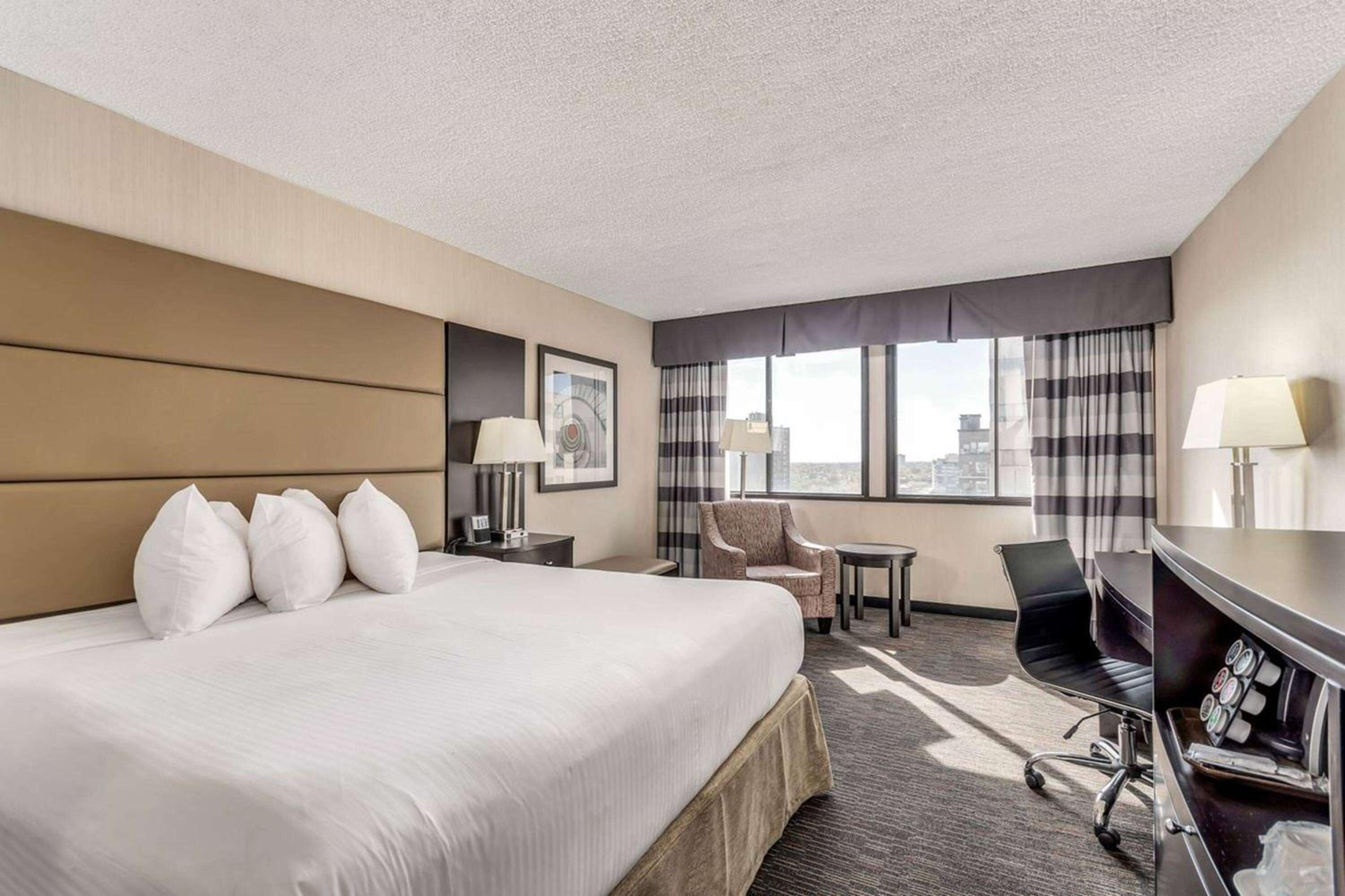 Business King Room photo 1