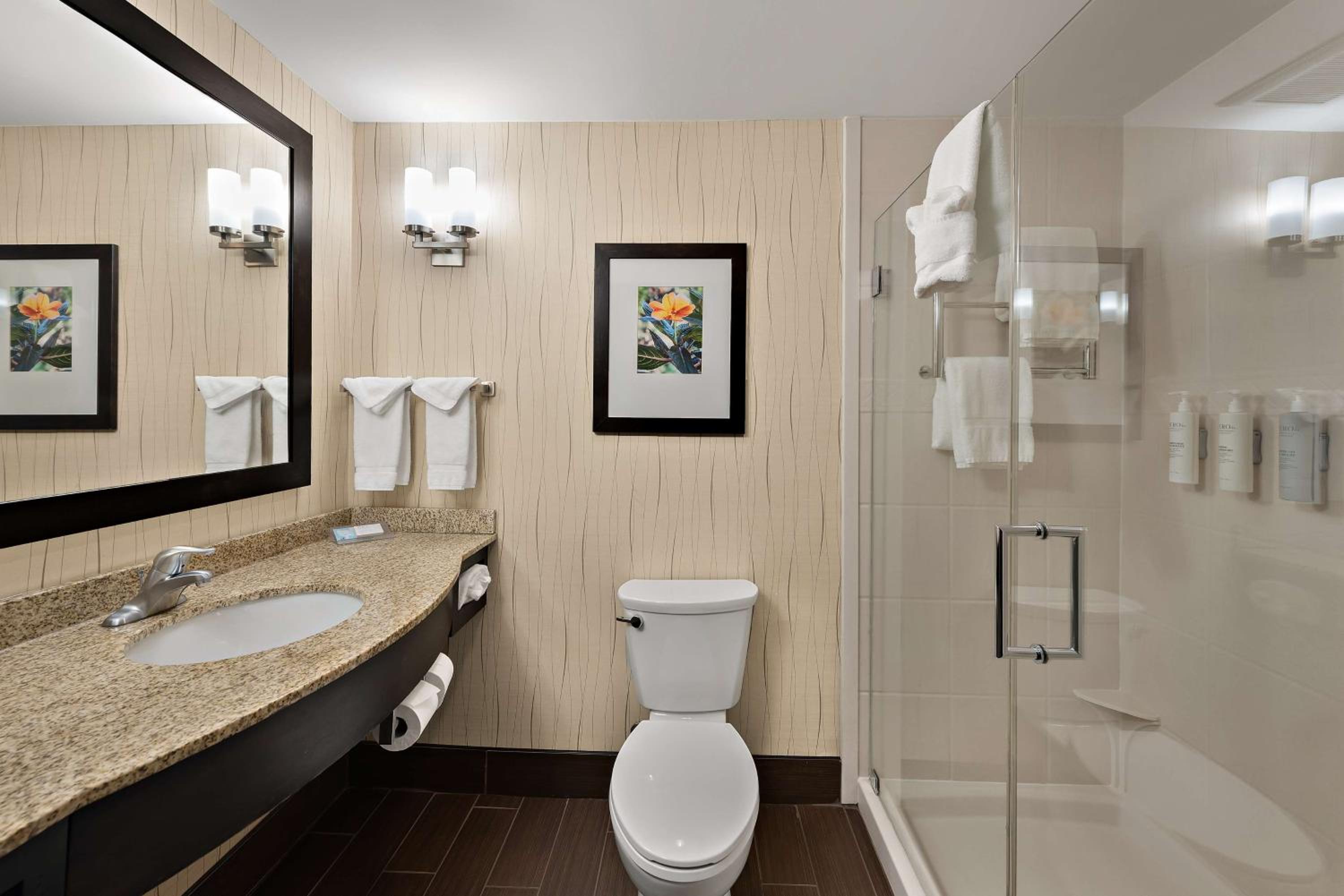 King Room with Whirlpool photo 3