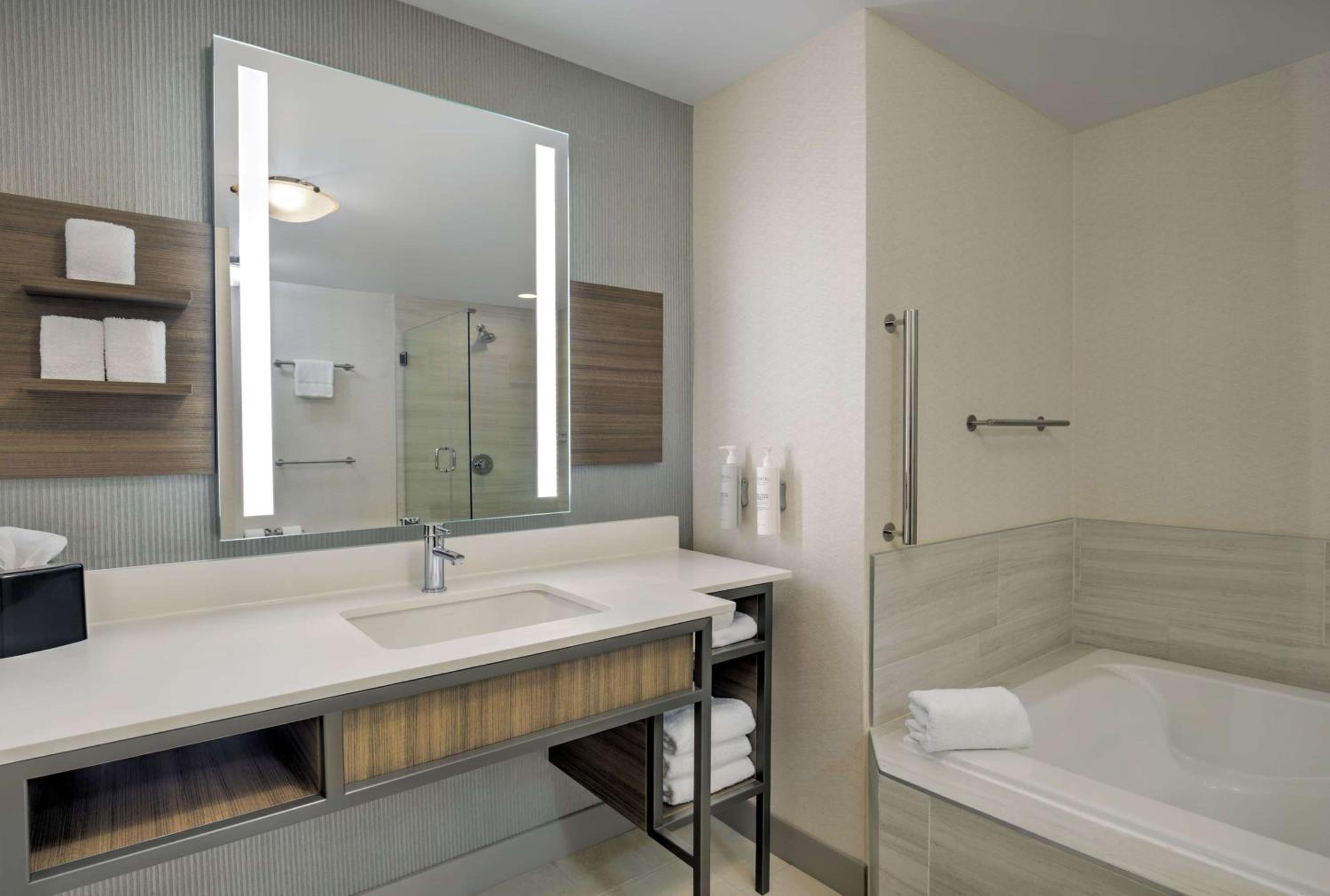 One-Bedroom King Suite with Sofa Bed - Photo 5