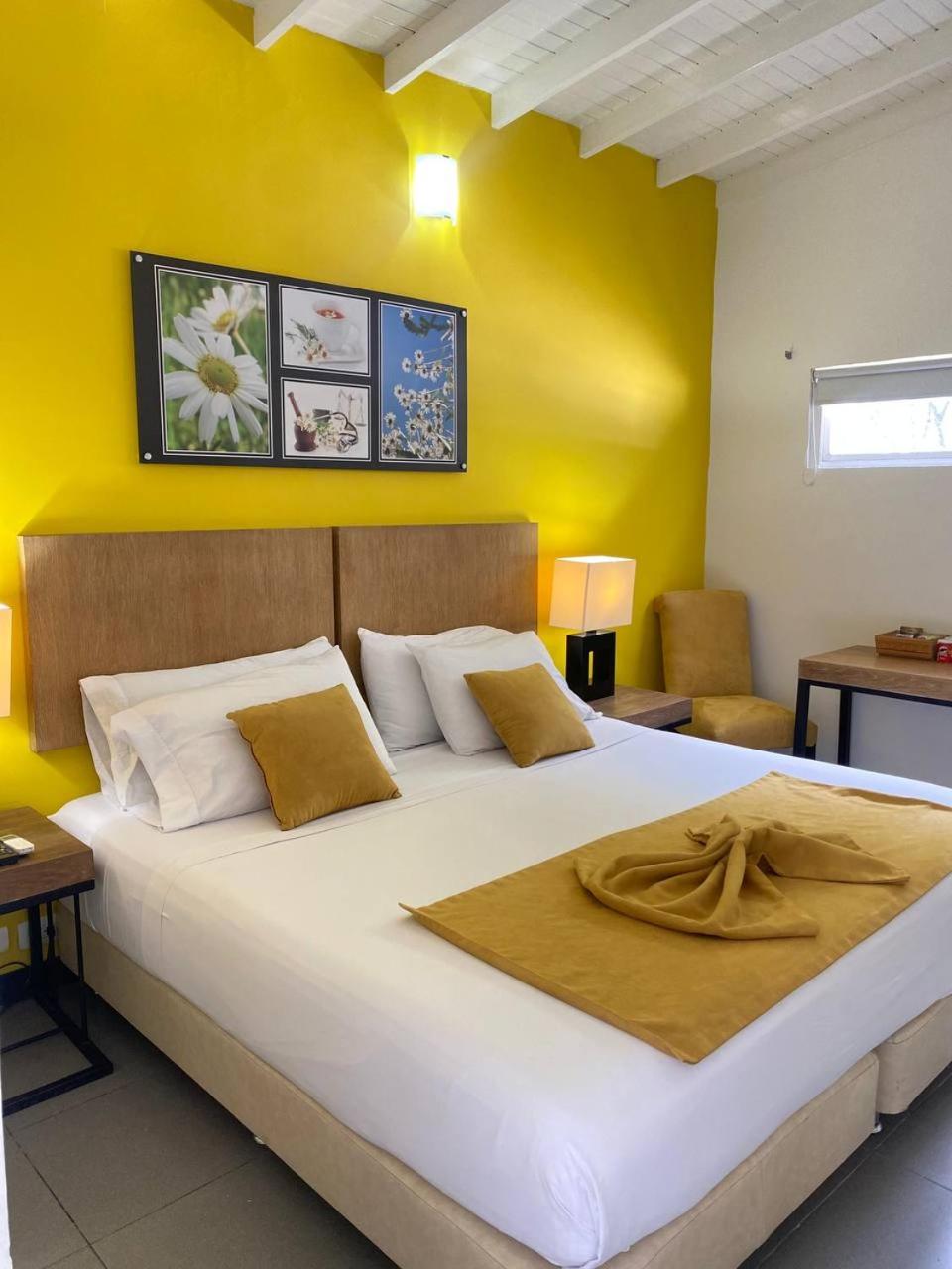 Superior King or Twin Room photo 3