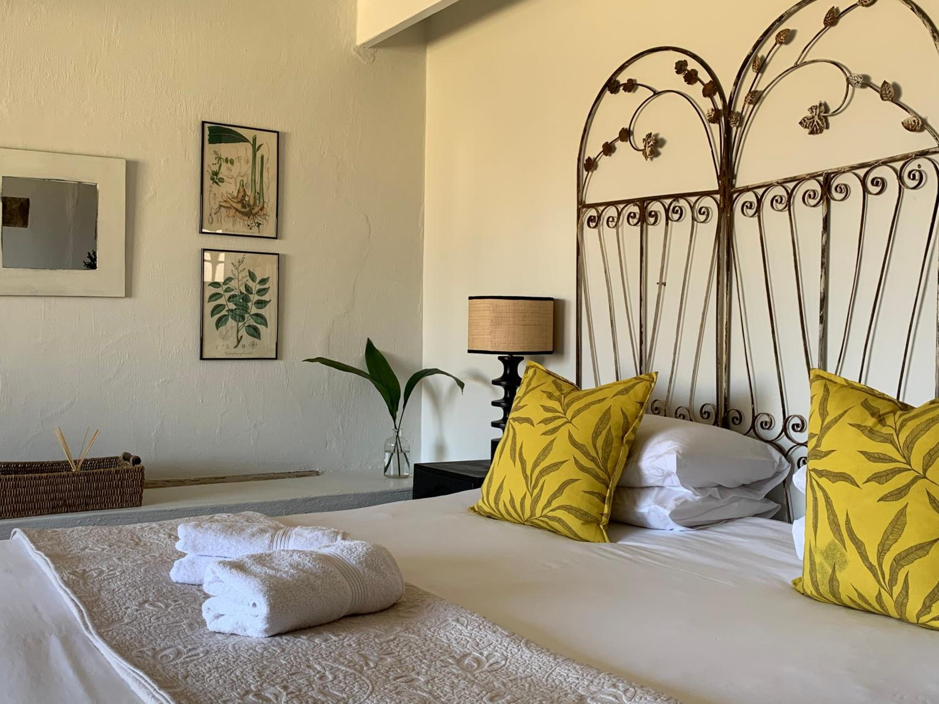 Suite - Photo 2