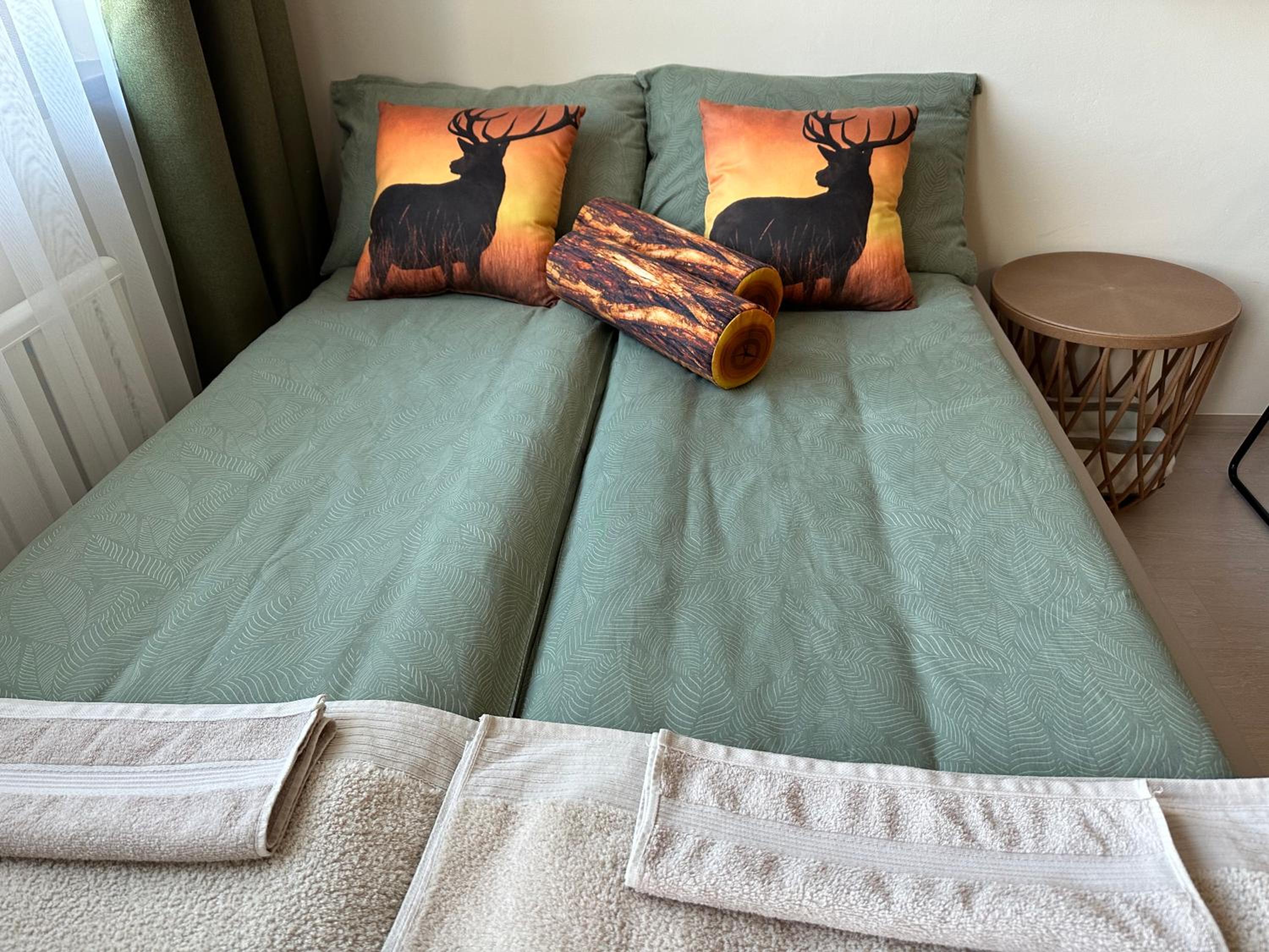 Studio with Sofa Bed photo 3