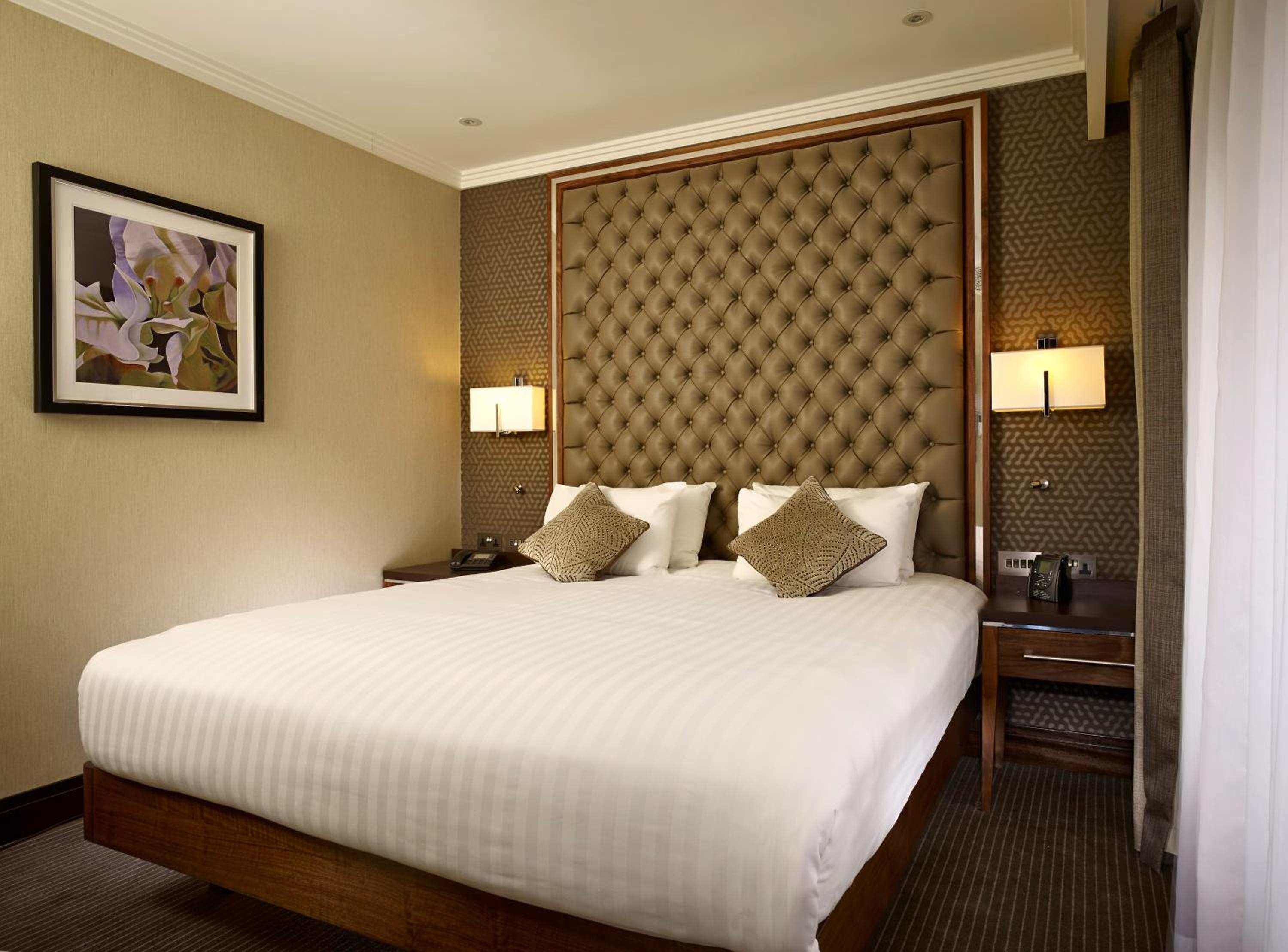 King Studio Suite with Sofa Bed thumbnail 5