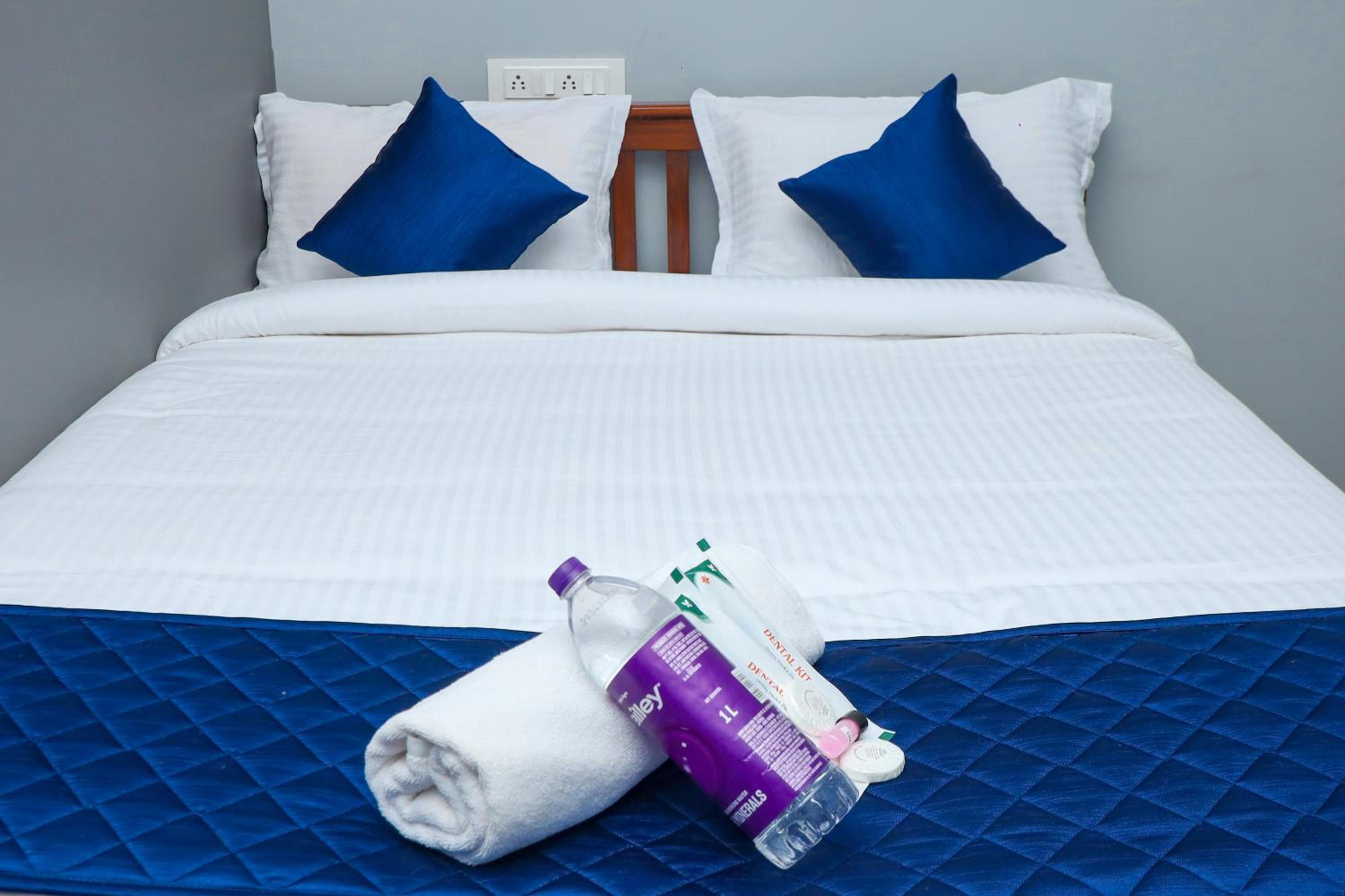 Deluxe Double Room (2 Adults + 1 Child) photo 1