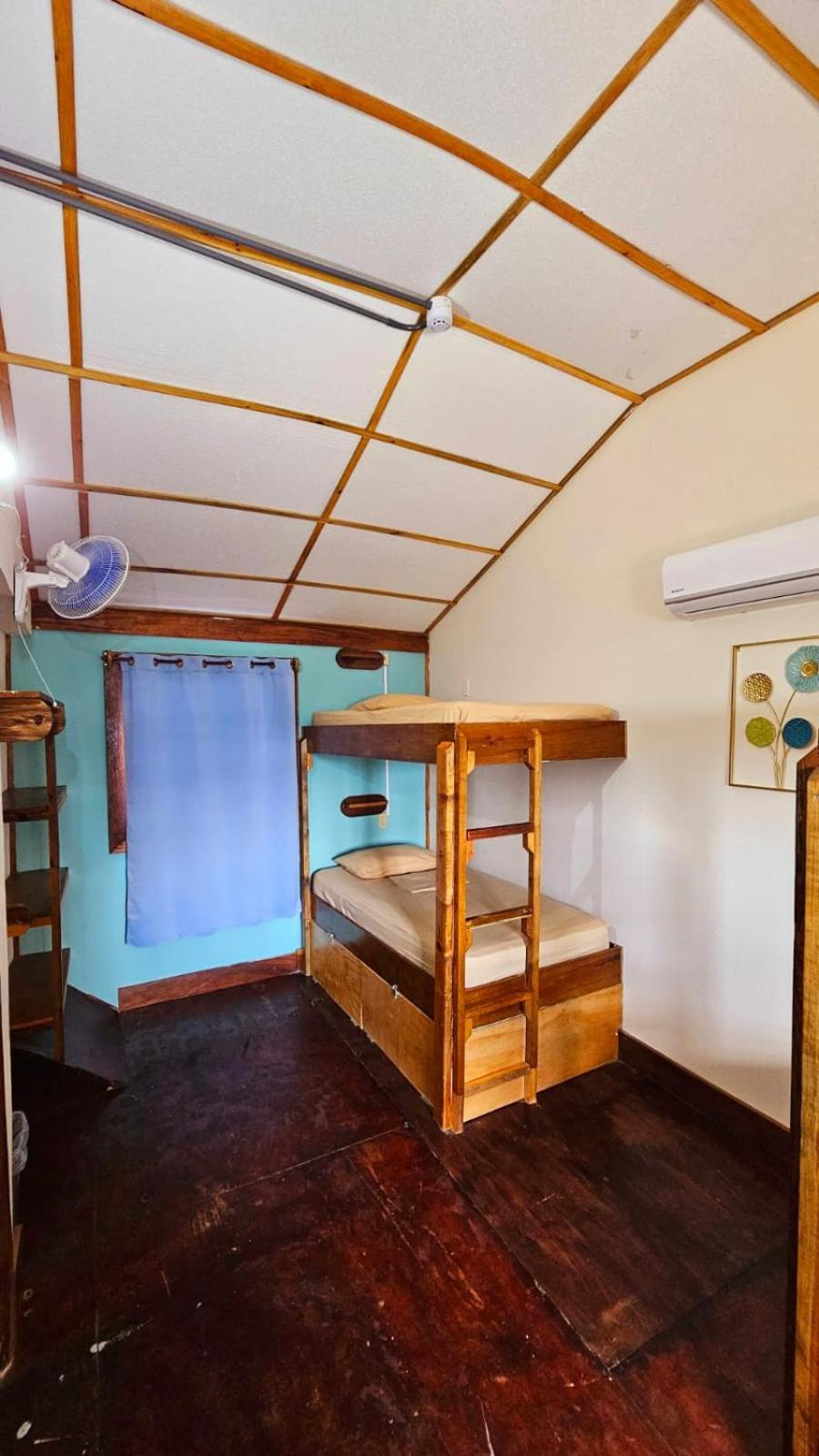 Bunk Bed in Mixed Dormitory Room photo 2
