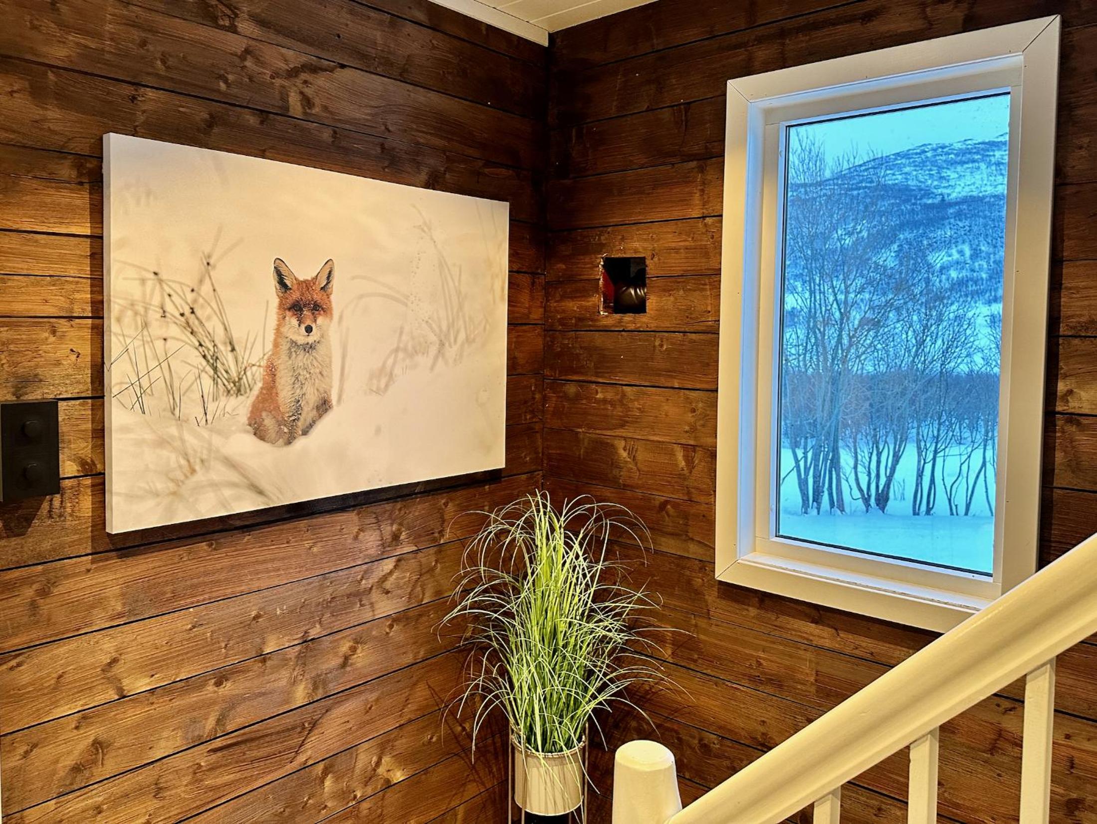 Vacation Home photo 1