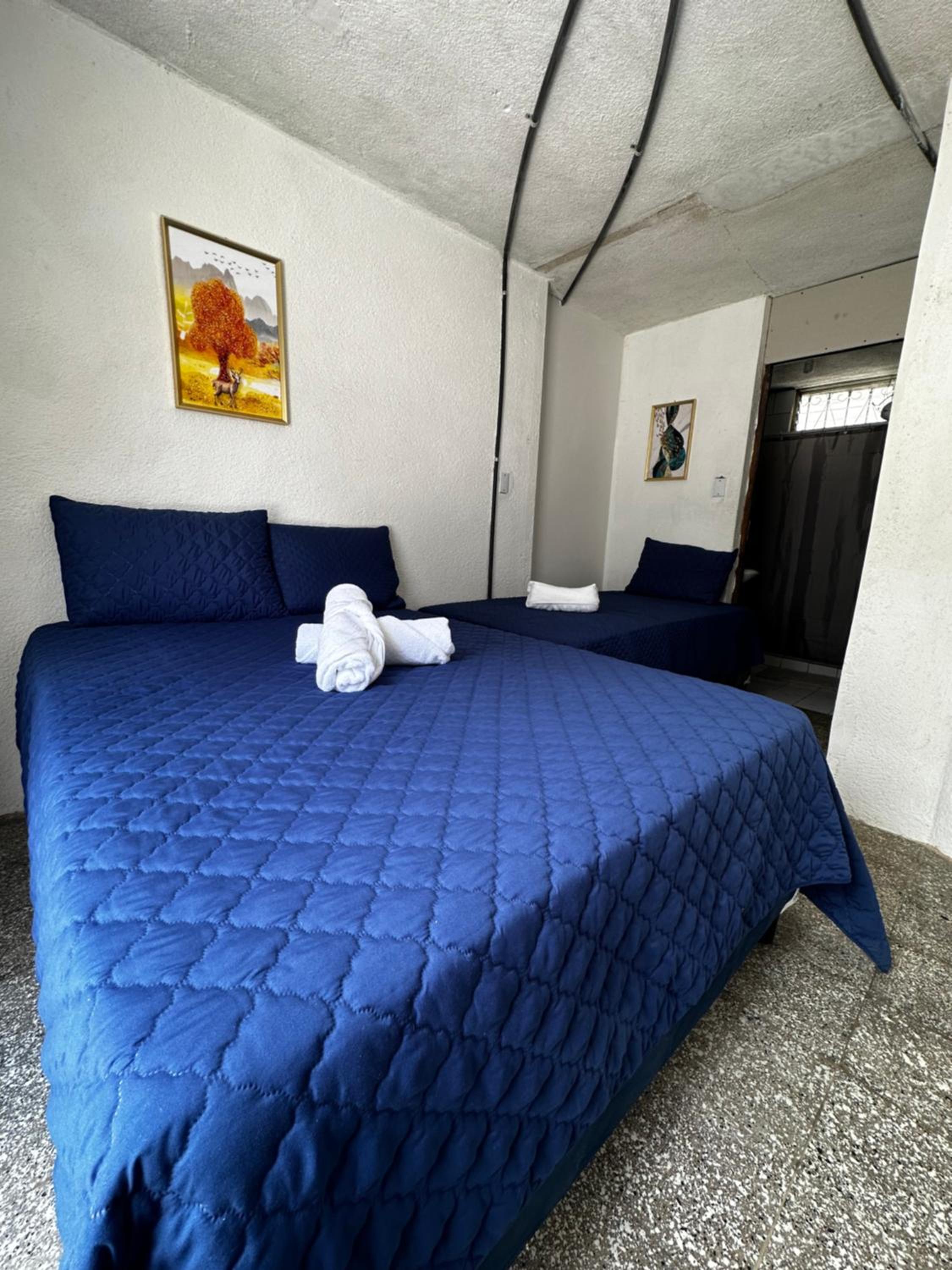 Triple Room photo 1