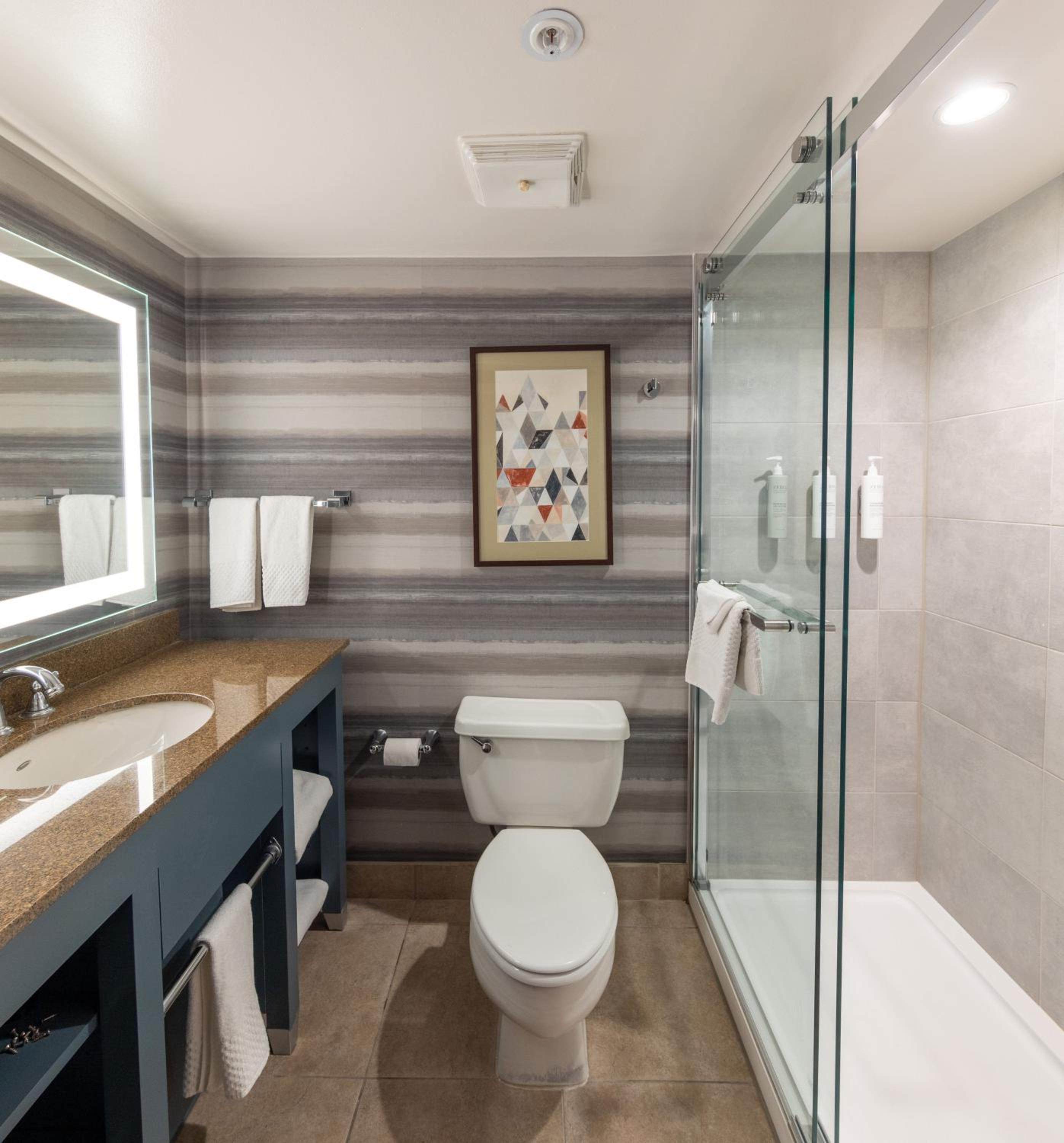 King Suite - Photo 6