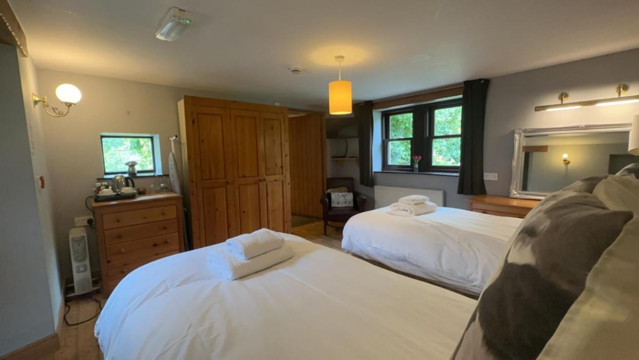Standard Twin Room photo 3