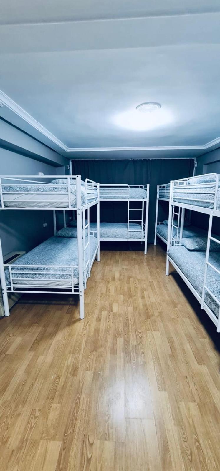 Bunk Bed in Mixed Dormitory Room photo 3