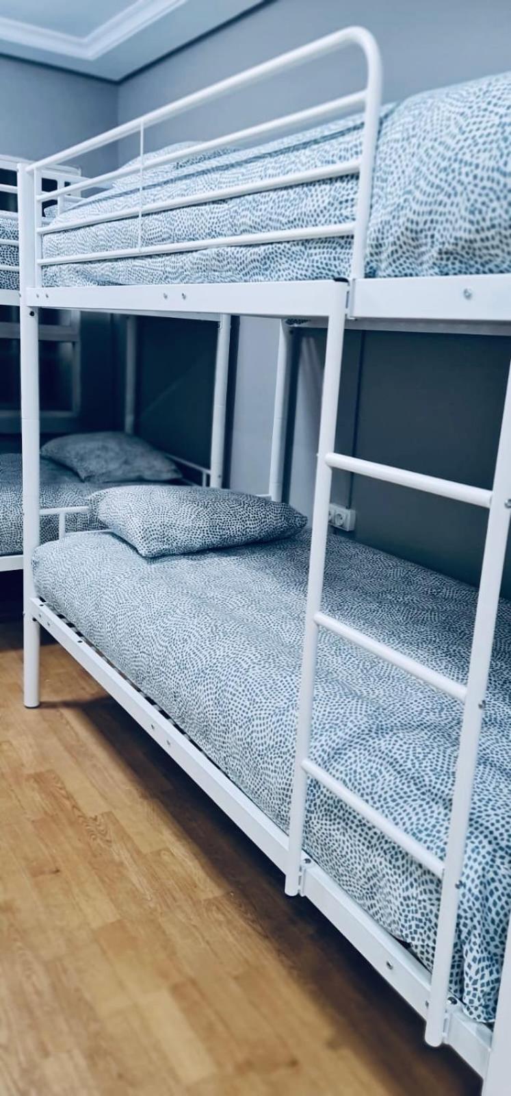 Bunk Bed in Mixed Dormitory Room photo 2