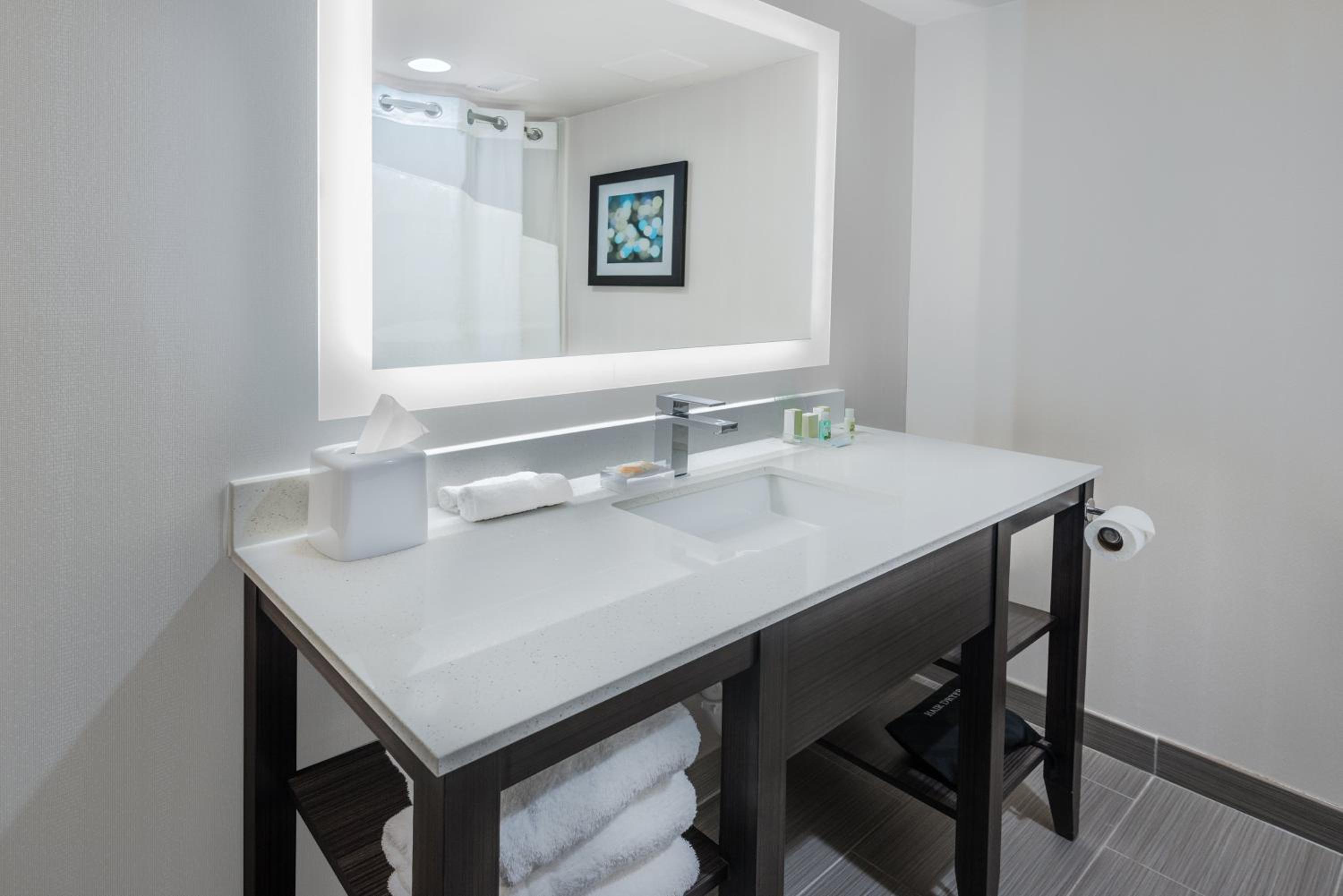 King Suite with Sofa Bed
