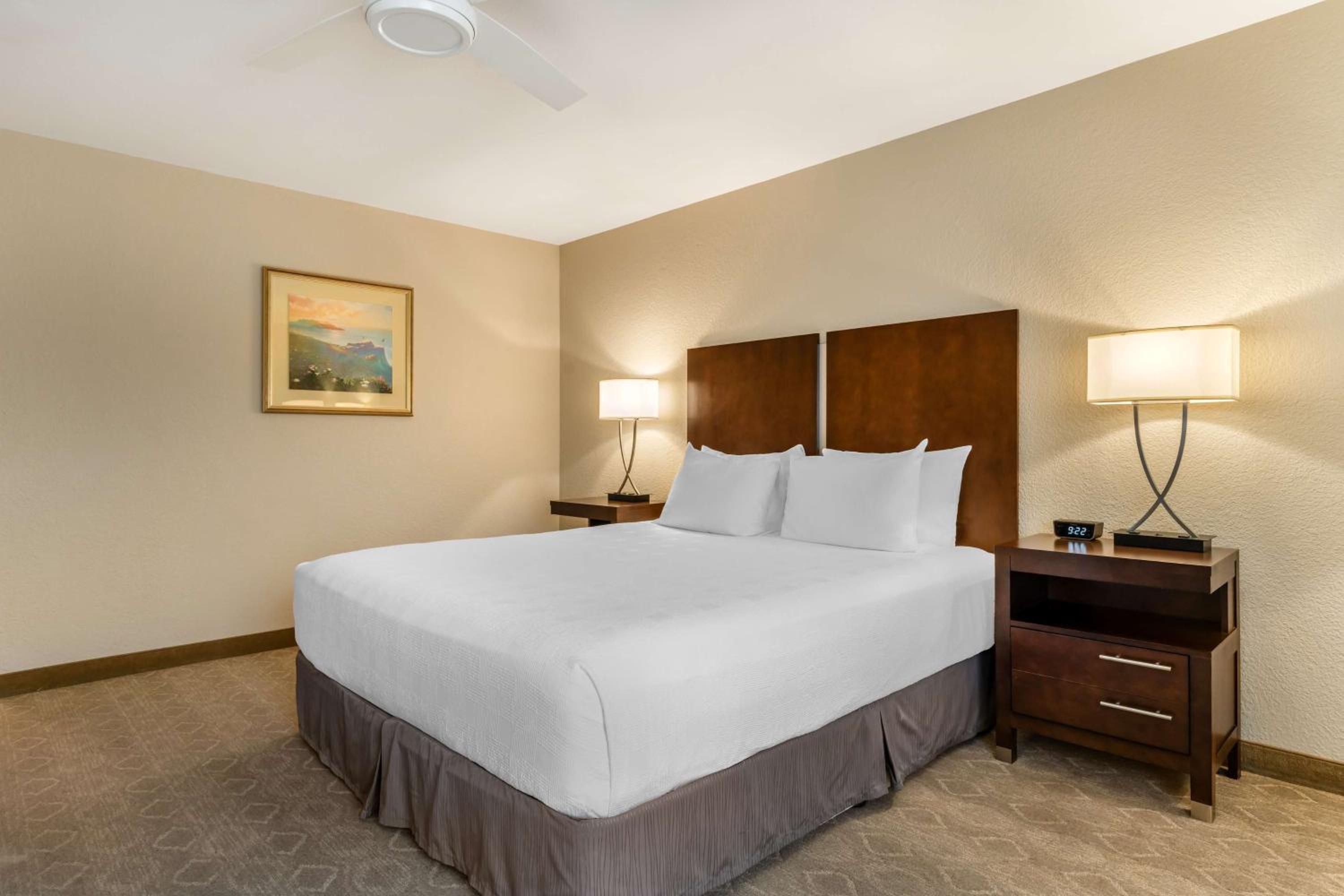 King Room photo 3