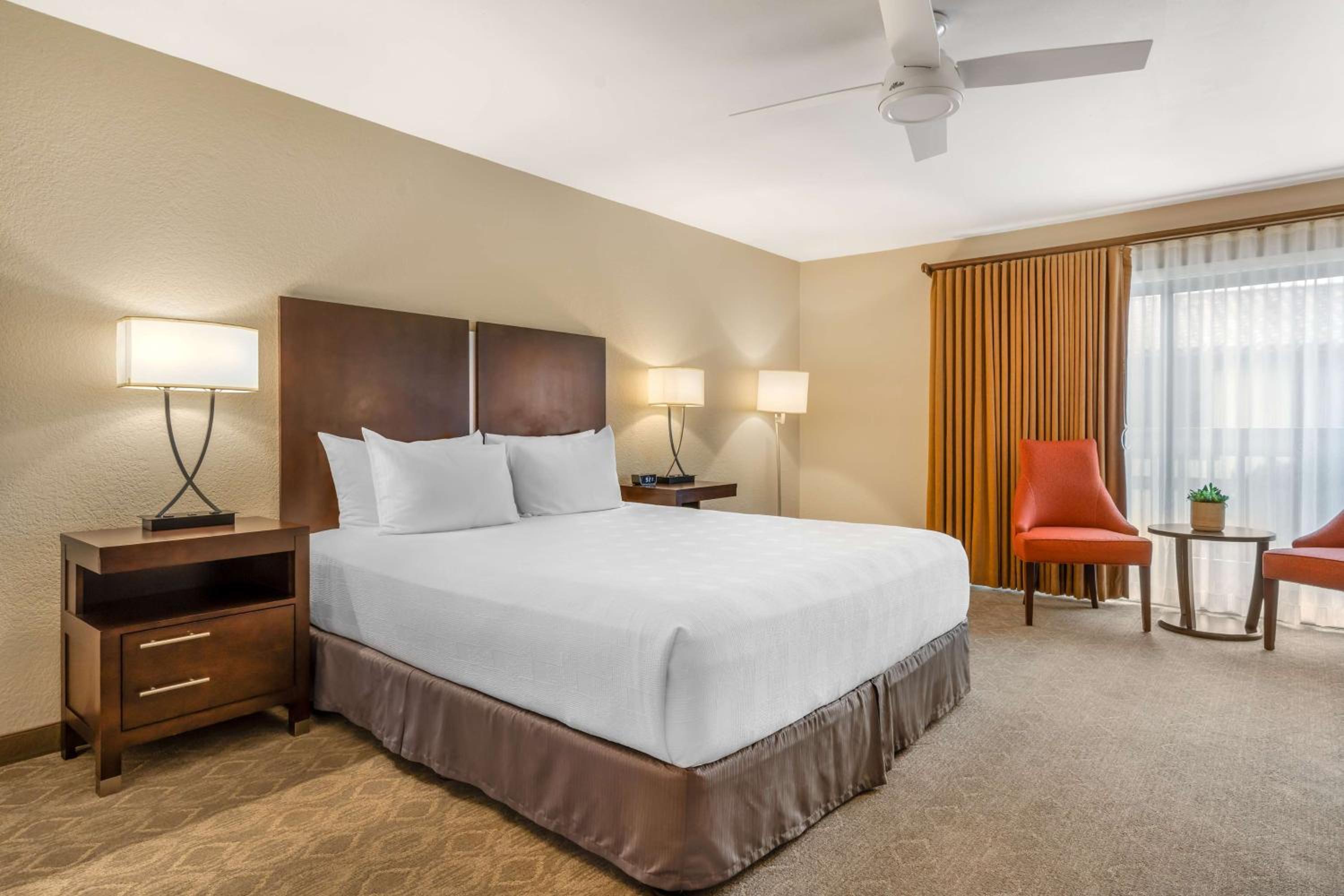 King Room photo 1
