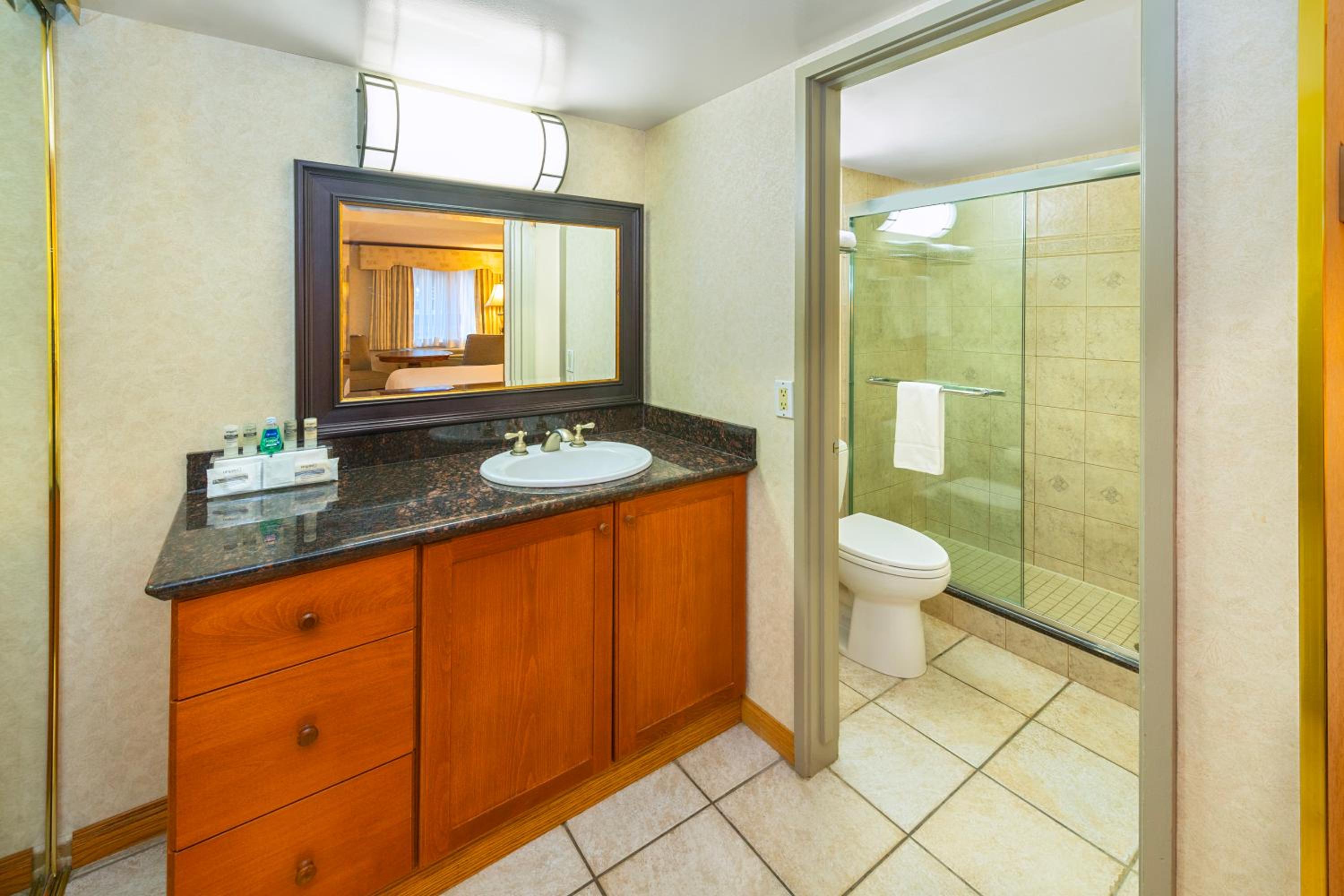 Deluxe Room with King Bed - Photo 2