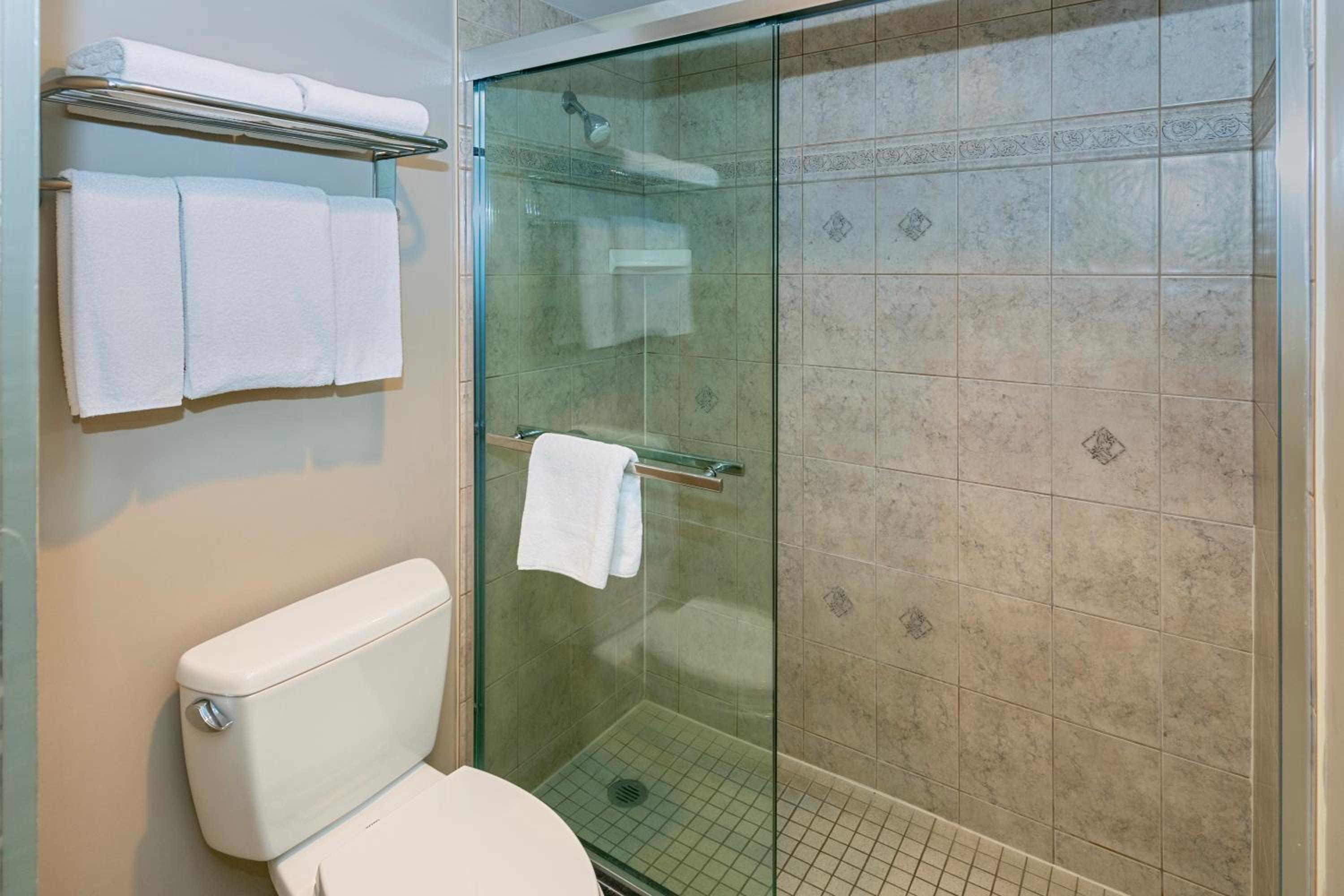 Kitchenette Suite - Photo 12