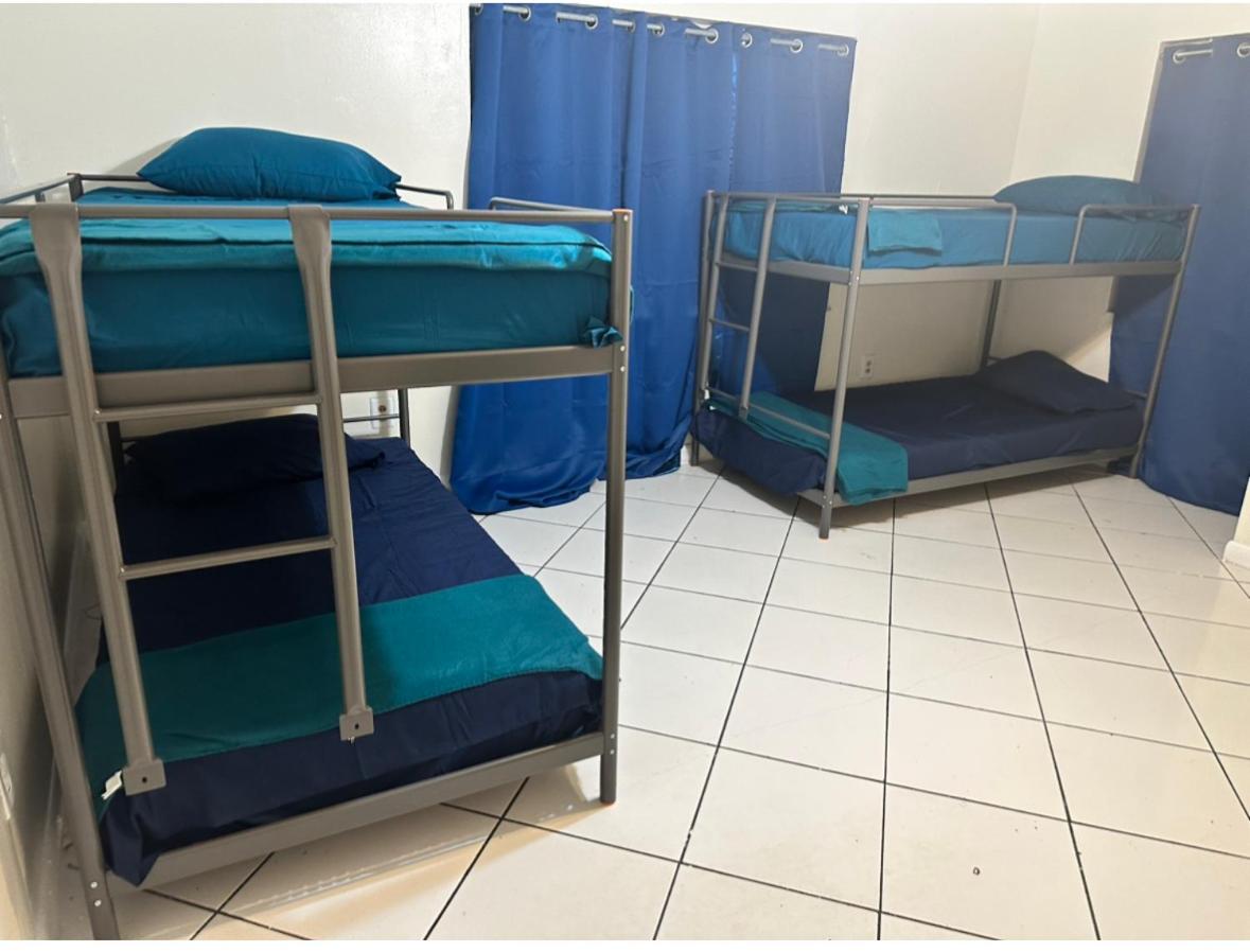 Bunk Bed in Mixed Dormitory Room photo 2