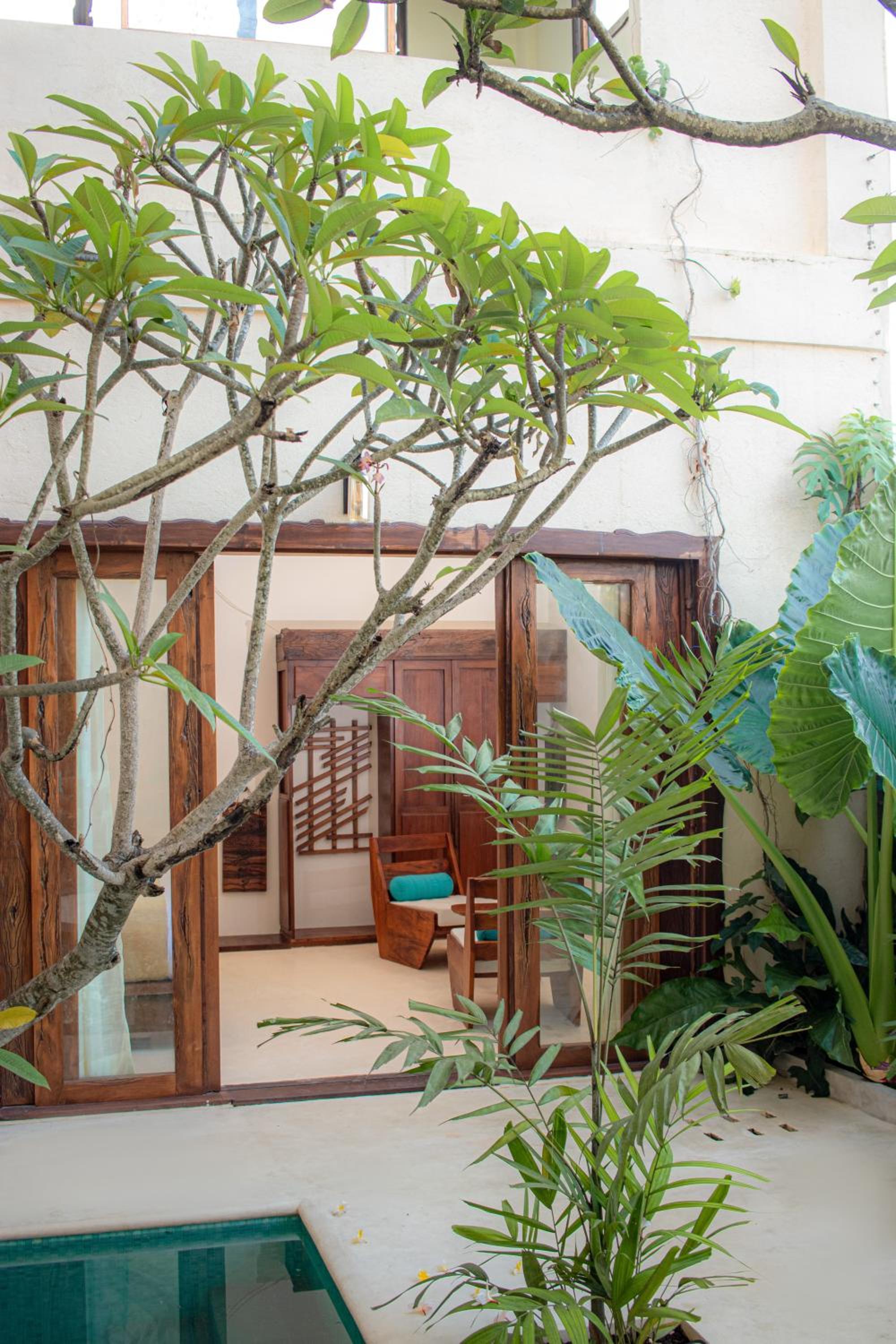 King Room with Pool View - Photo 13