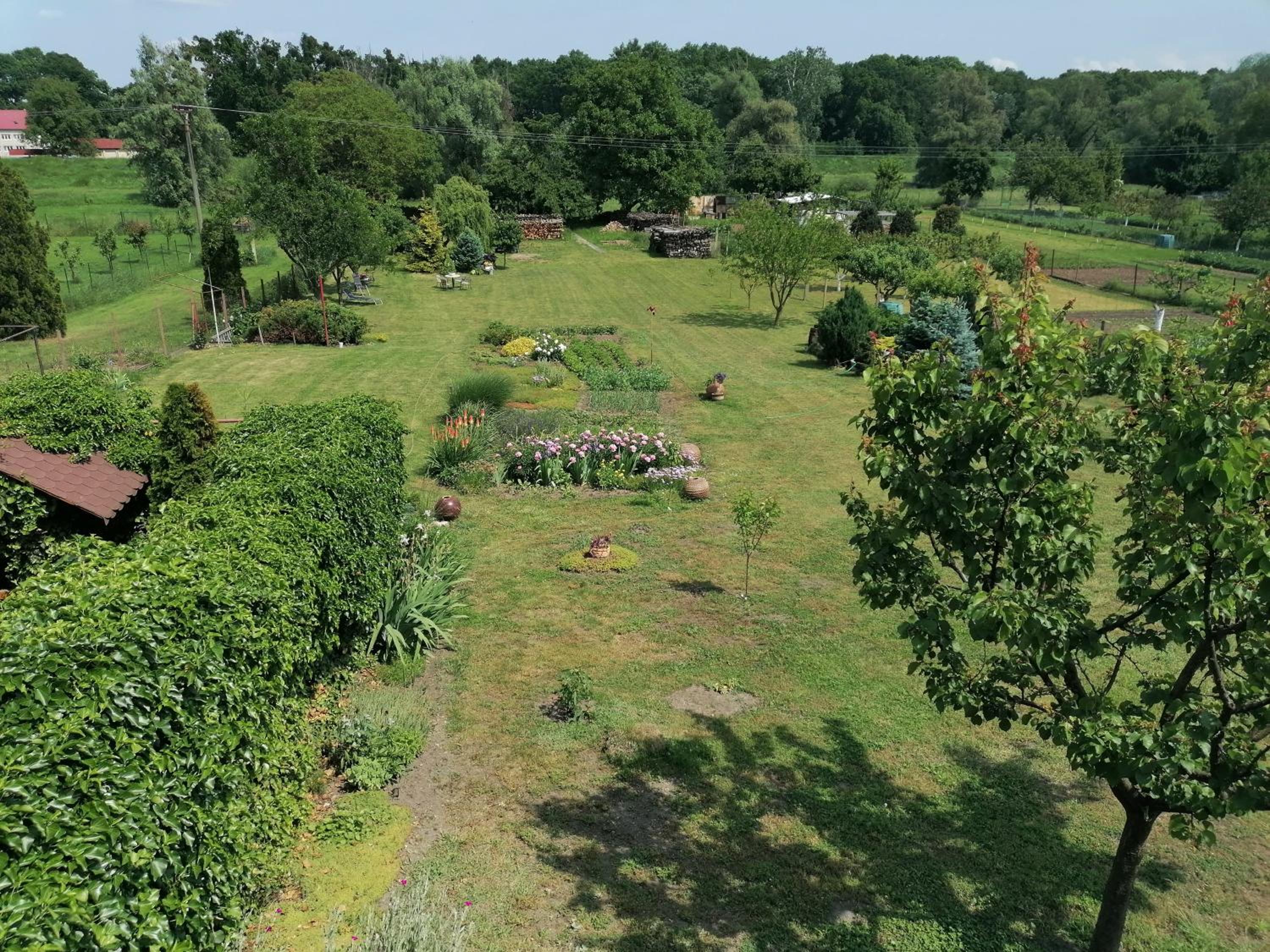 Suite with Garden View photo 3