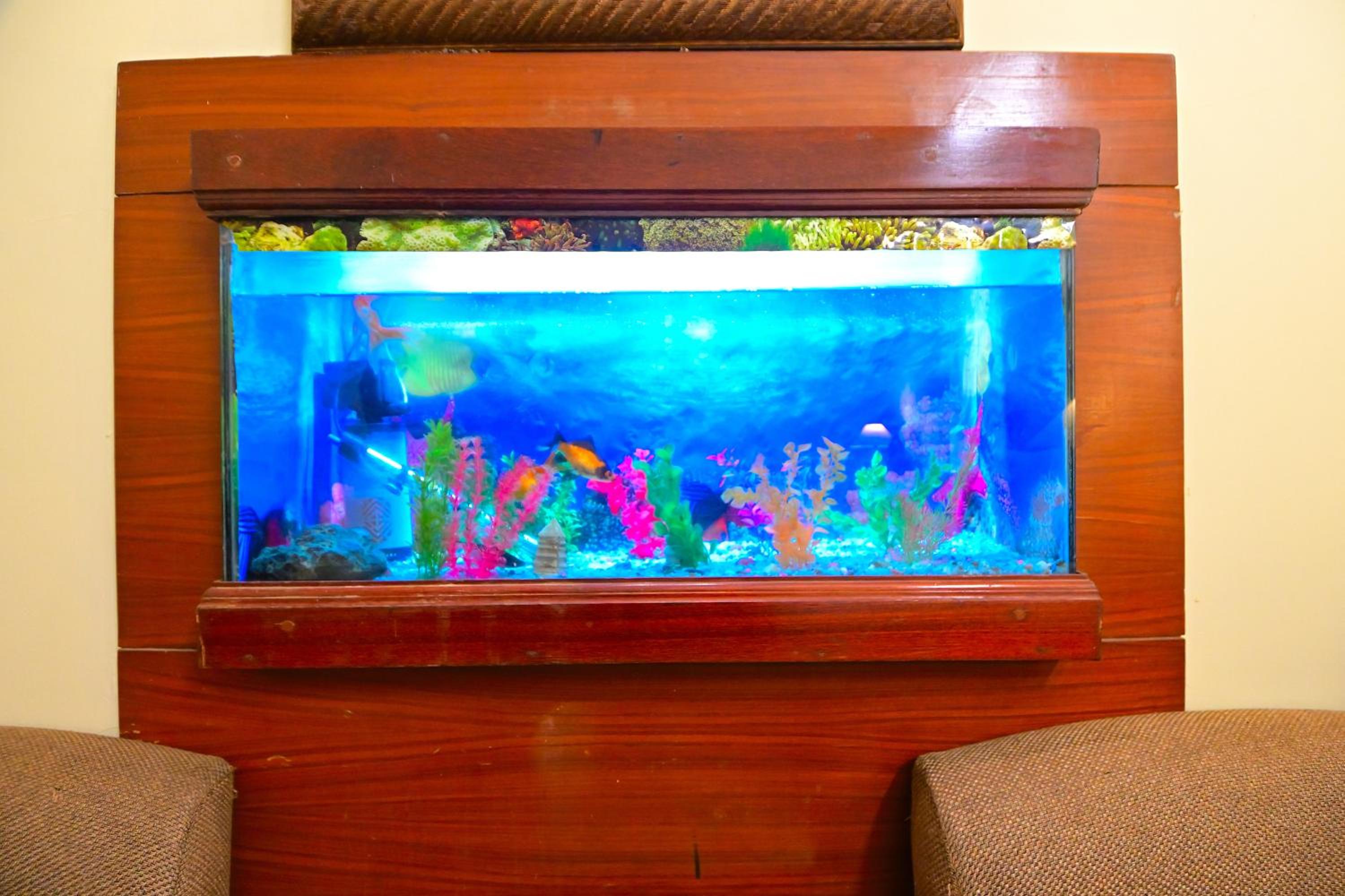 Suite Room with Fish Aquarium - Photo 5