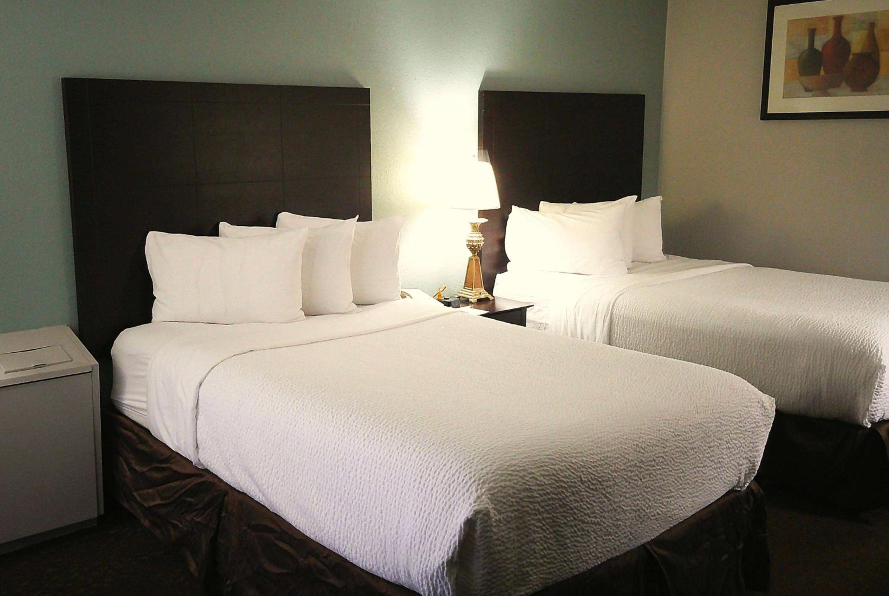 Standard Double Room - Photo 1