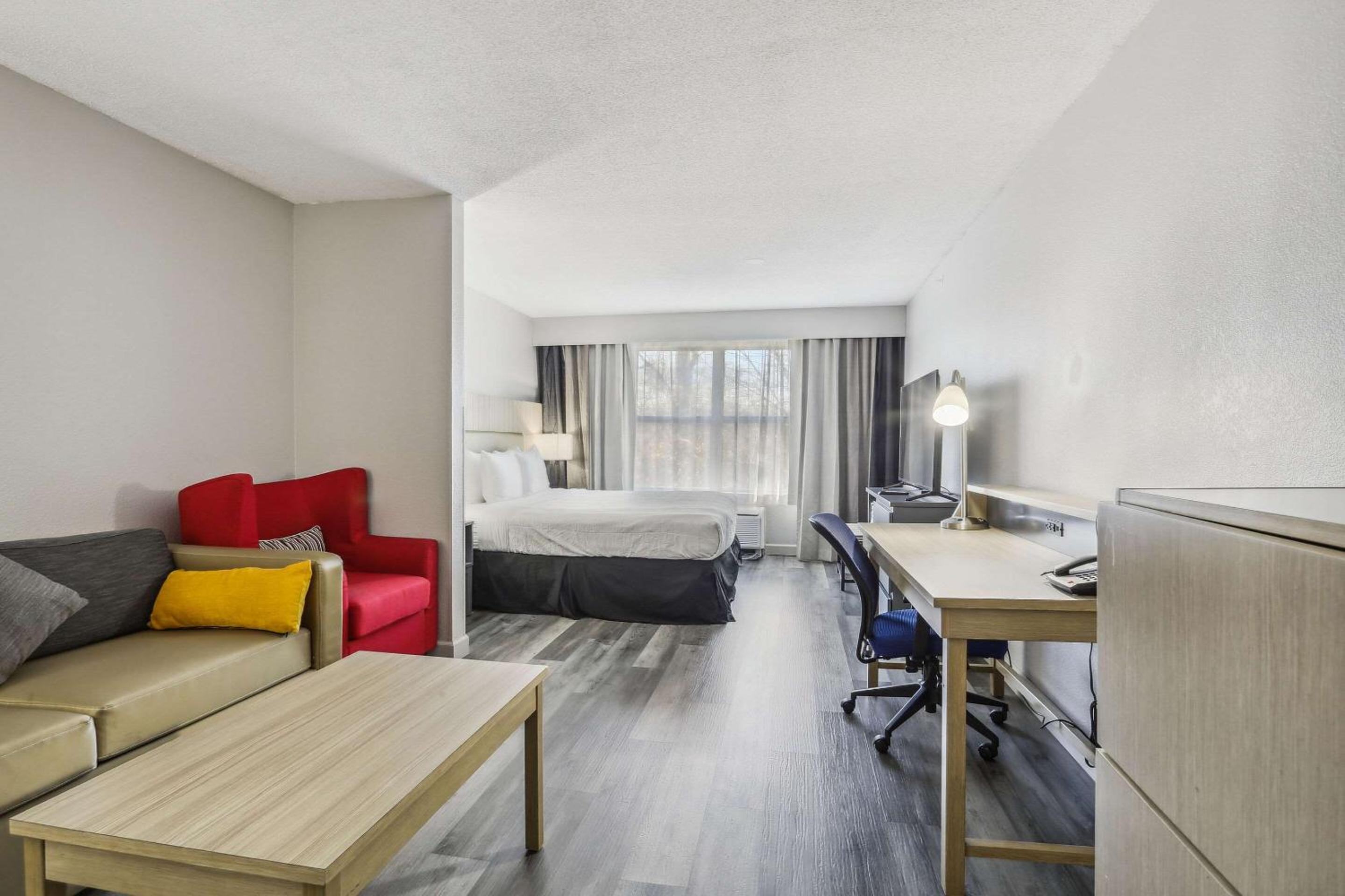 Studio Suite - Photo 4