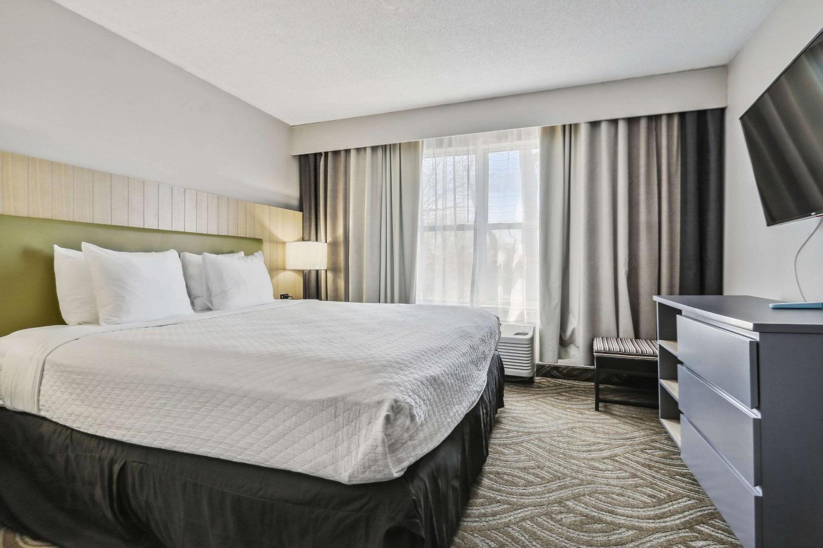 One-Bedroom King Suite - Photo 1
