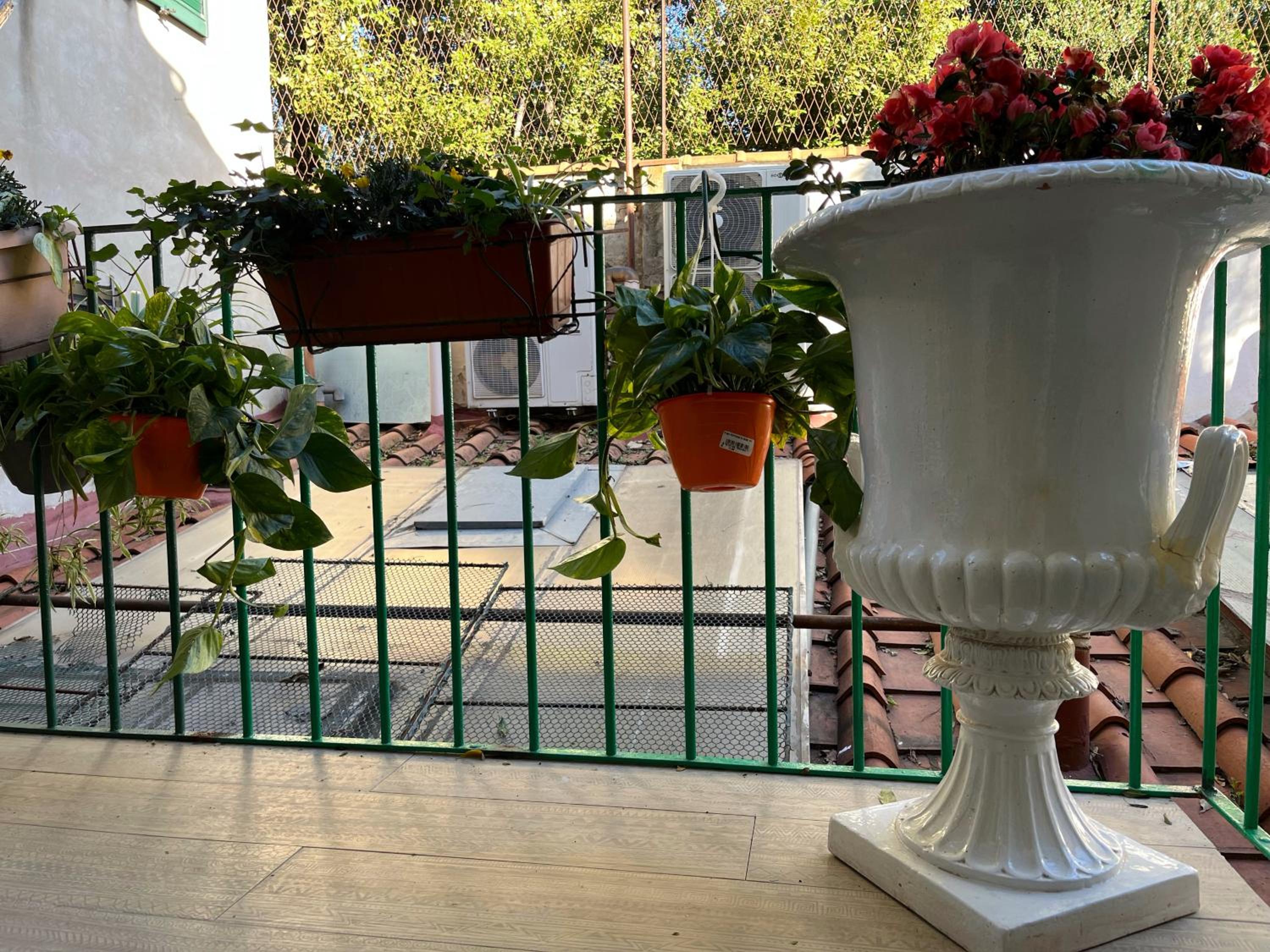 Single Room with Terrace photo 2