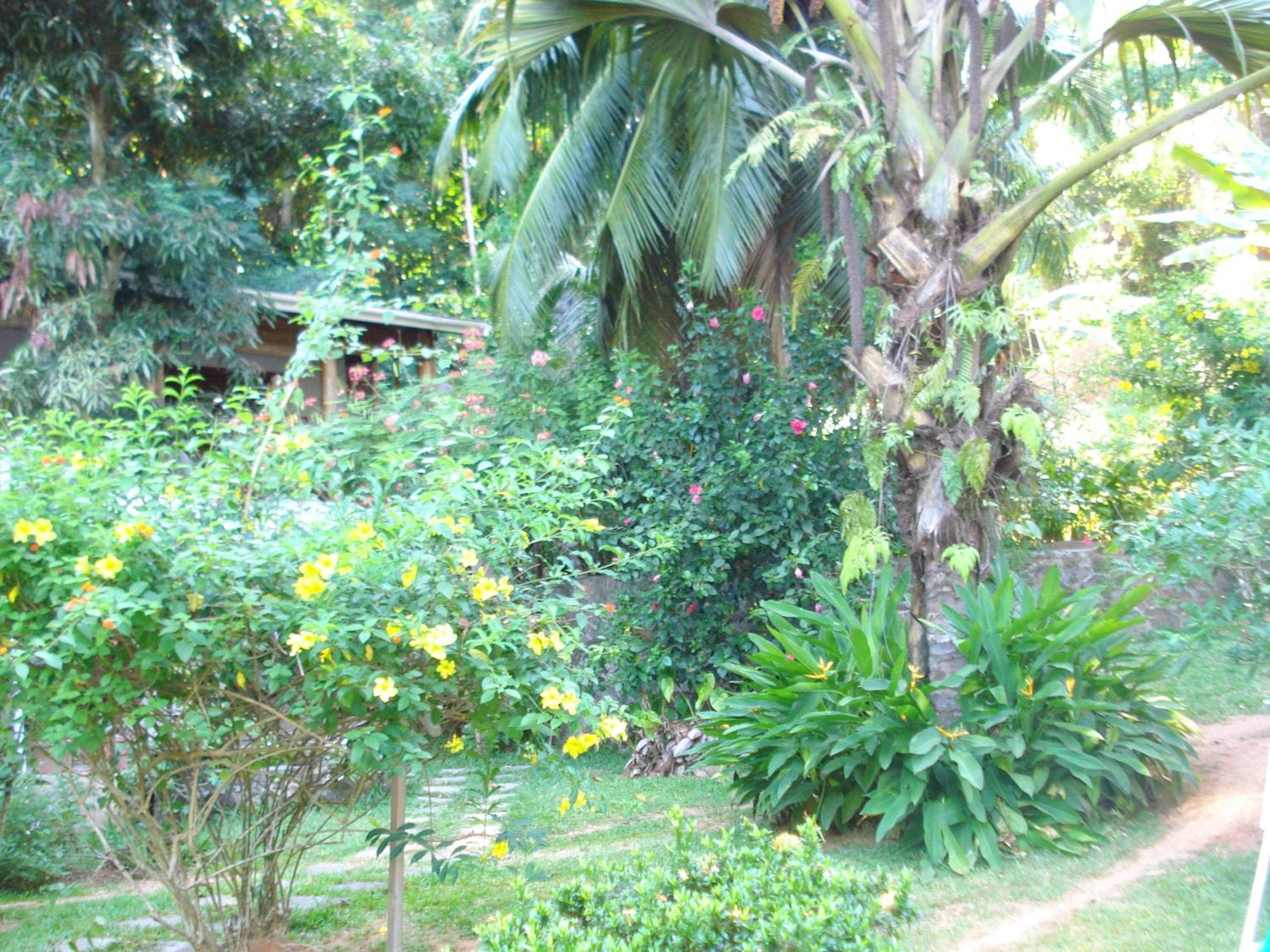 Two-Bedroom Villa photo 2