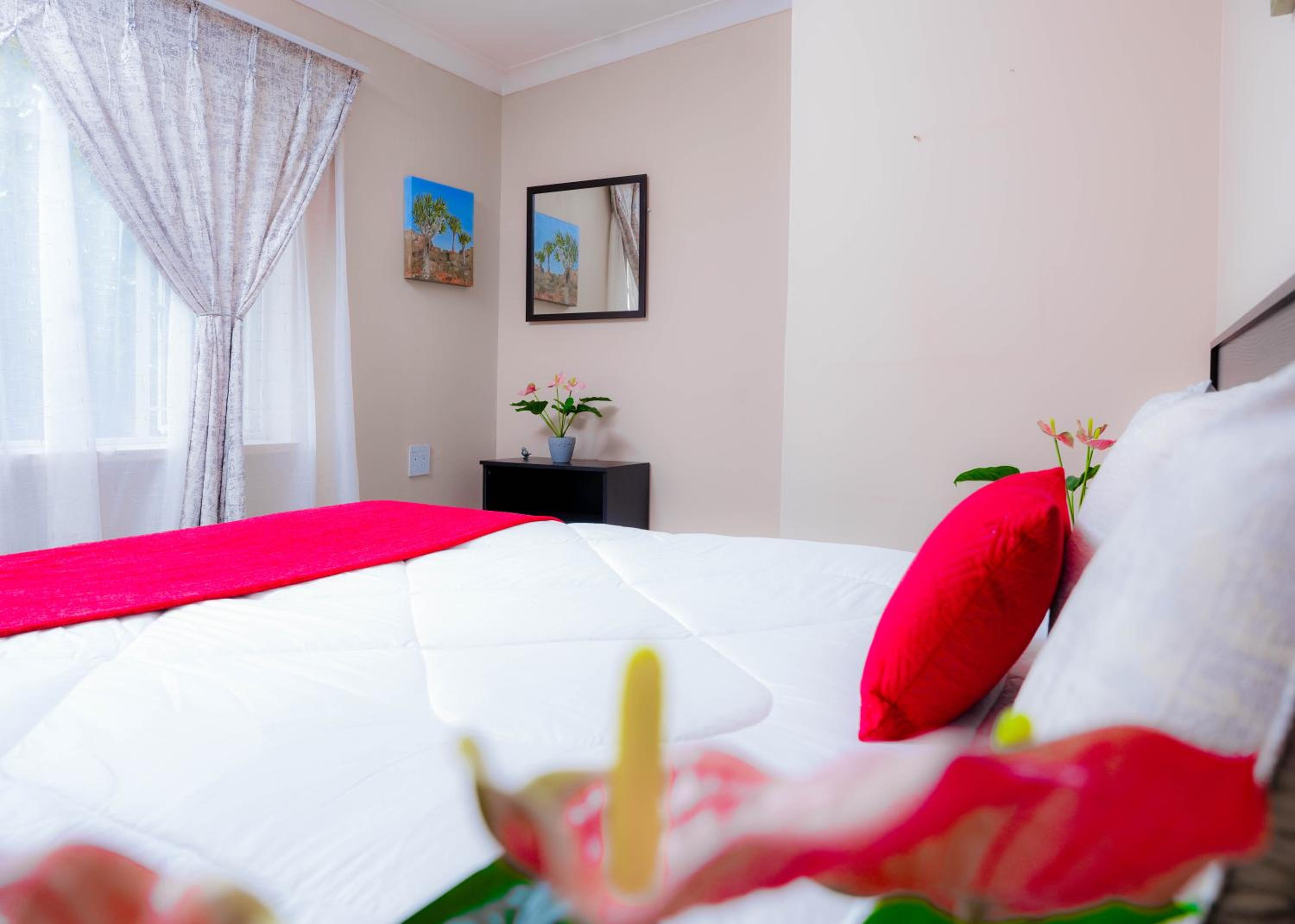 Superior Queen Room photo 1