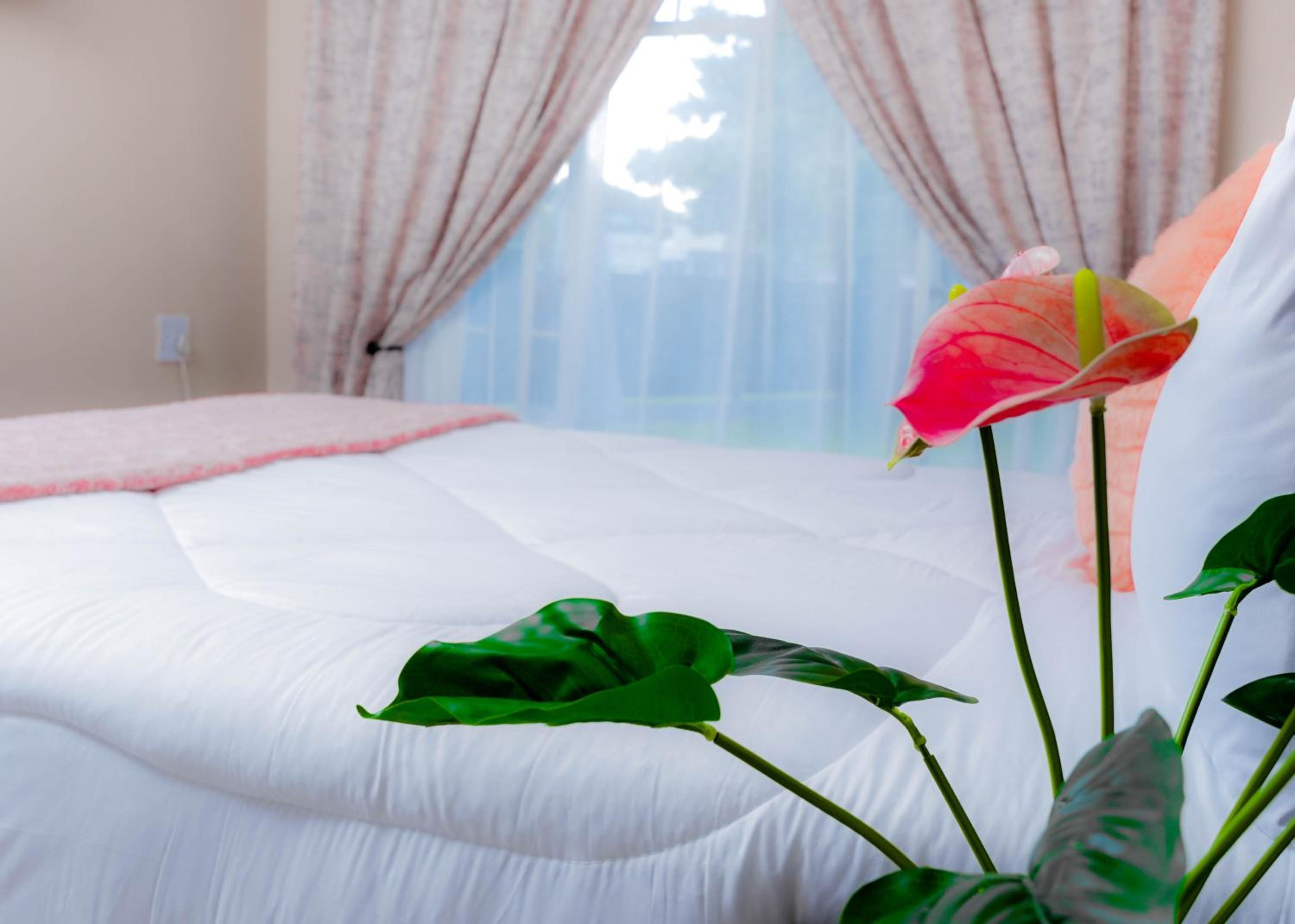 Superior Queen Room photo 2