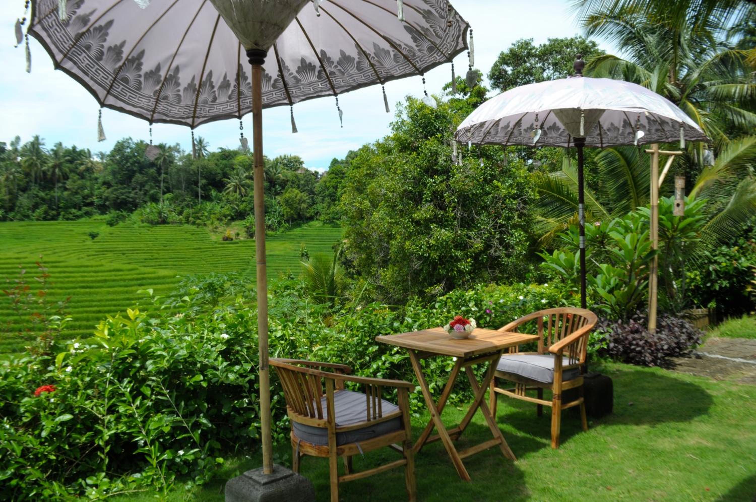 Bungalow with Garden View photo 2