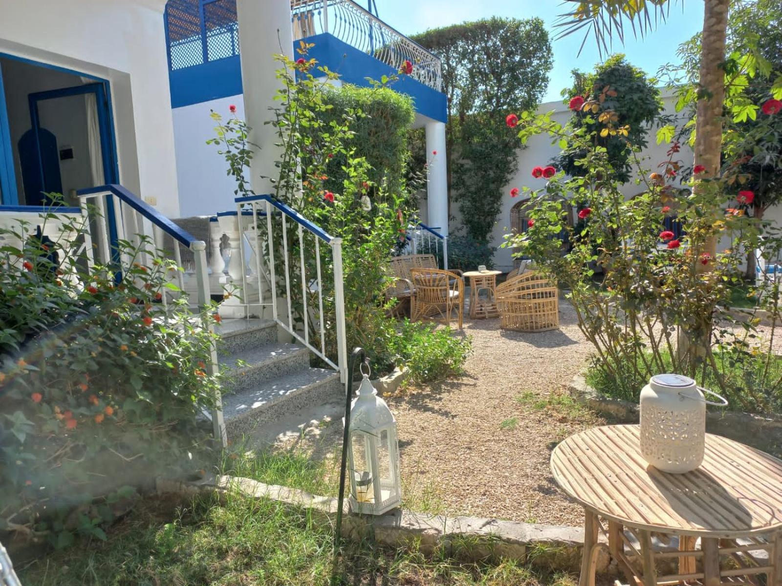 Apartment - Ground Floor - Photo 6