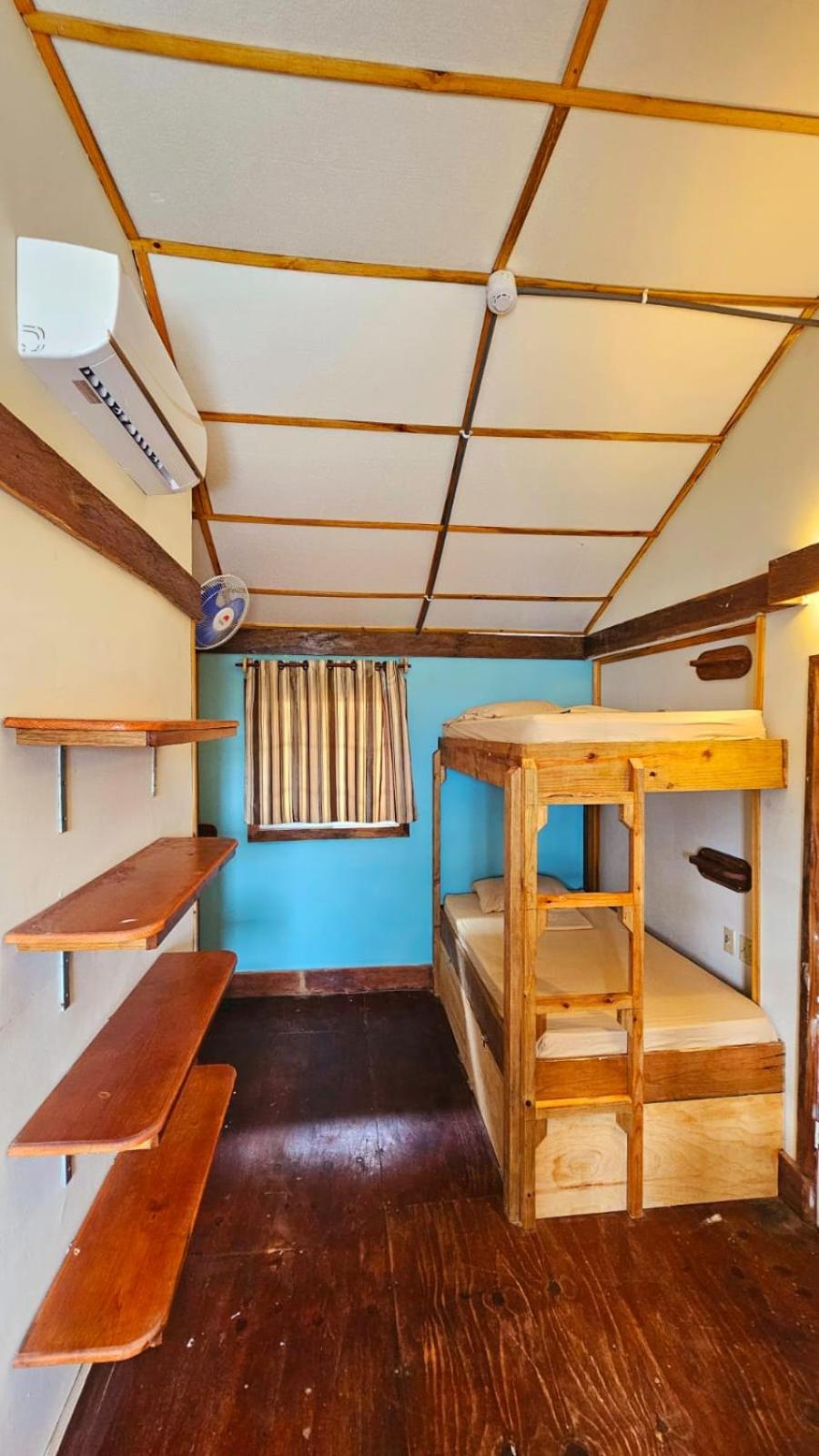 Bunk Bed in Mixed Dormitory Room photo 1