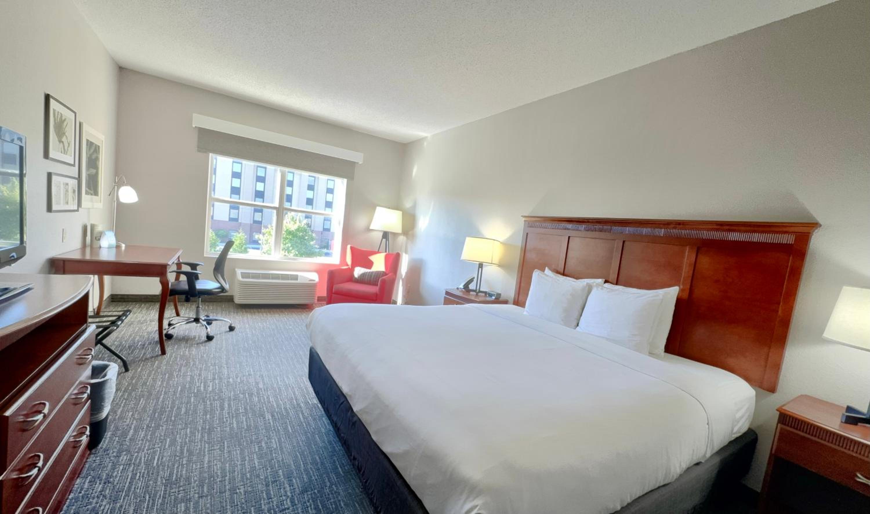 King Room - Photo 1