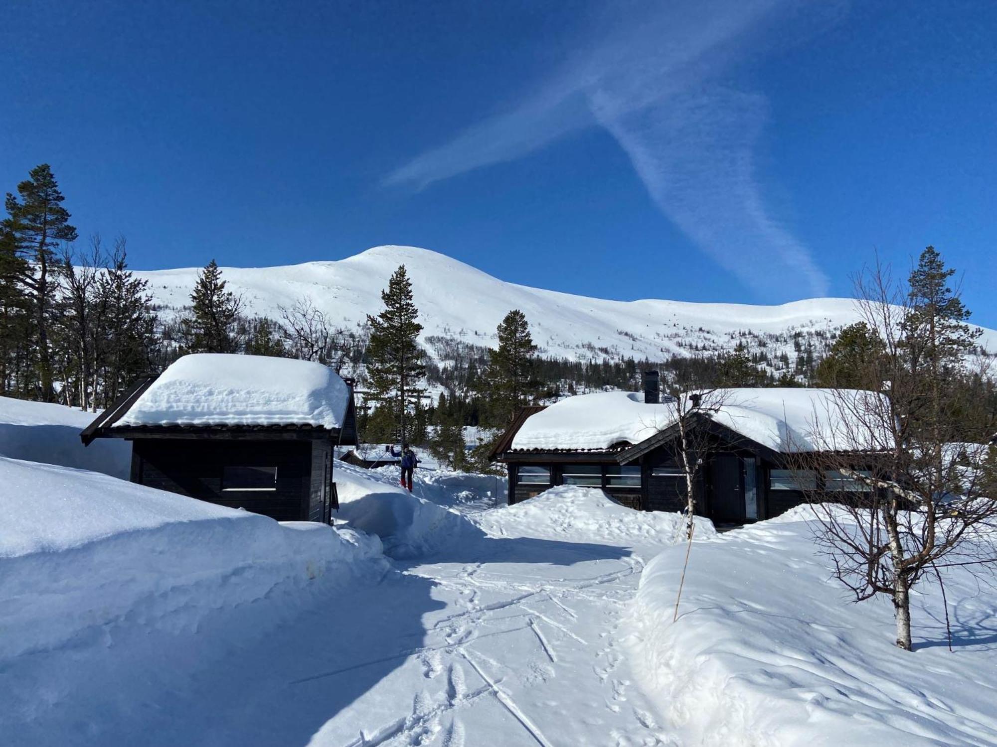 Vacation Home photo 1