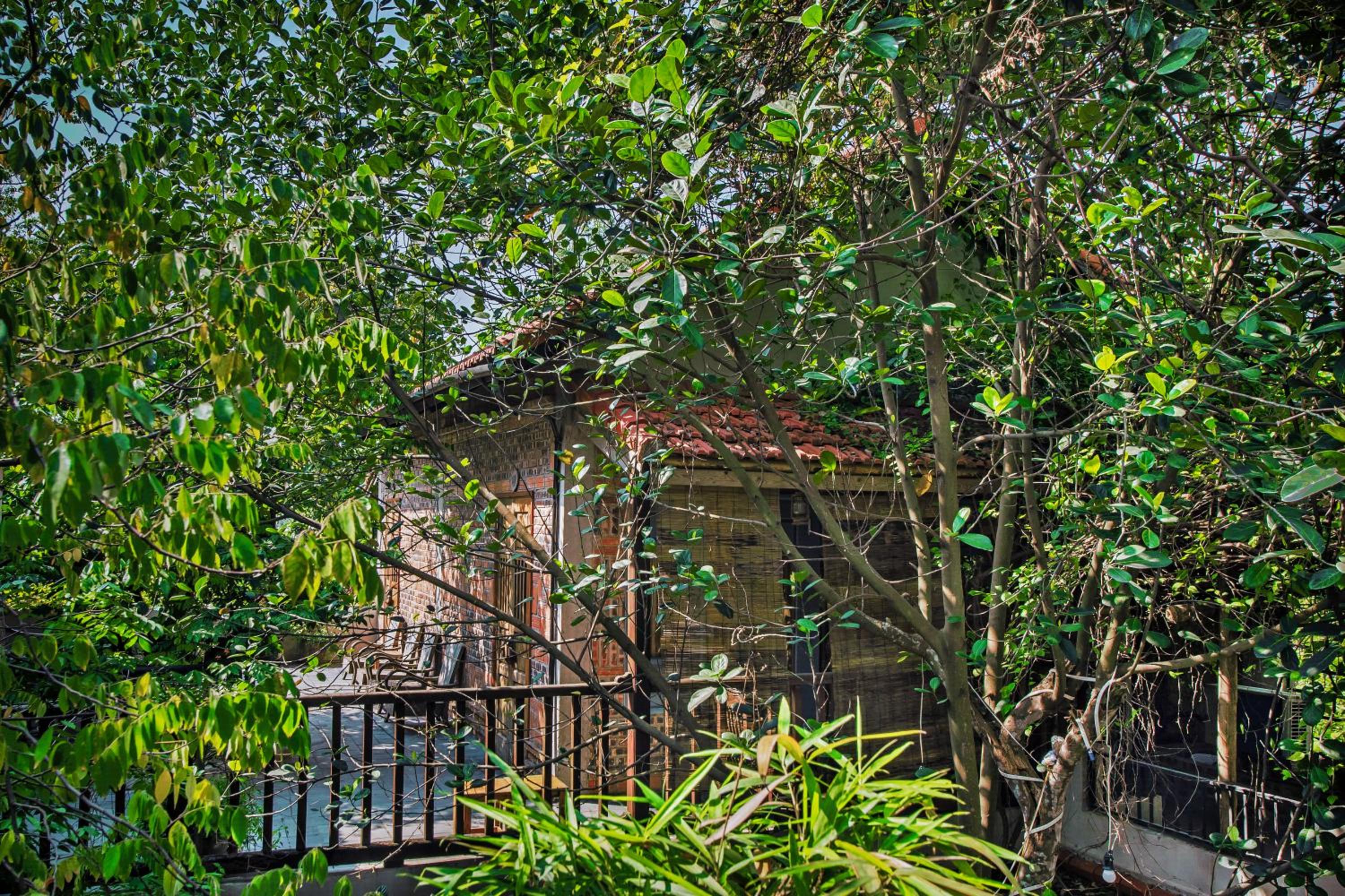 Superior Double or Twin Room with Garden View photo 2