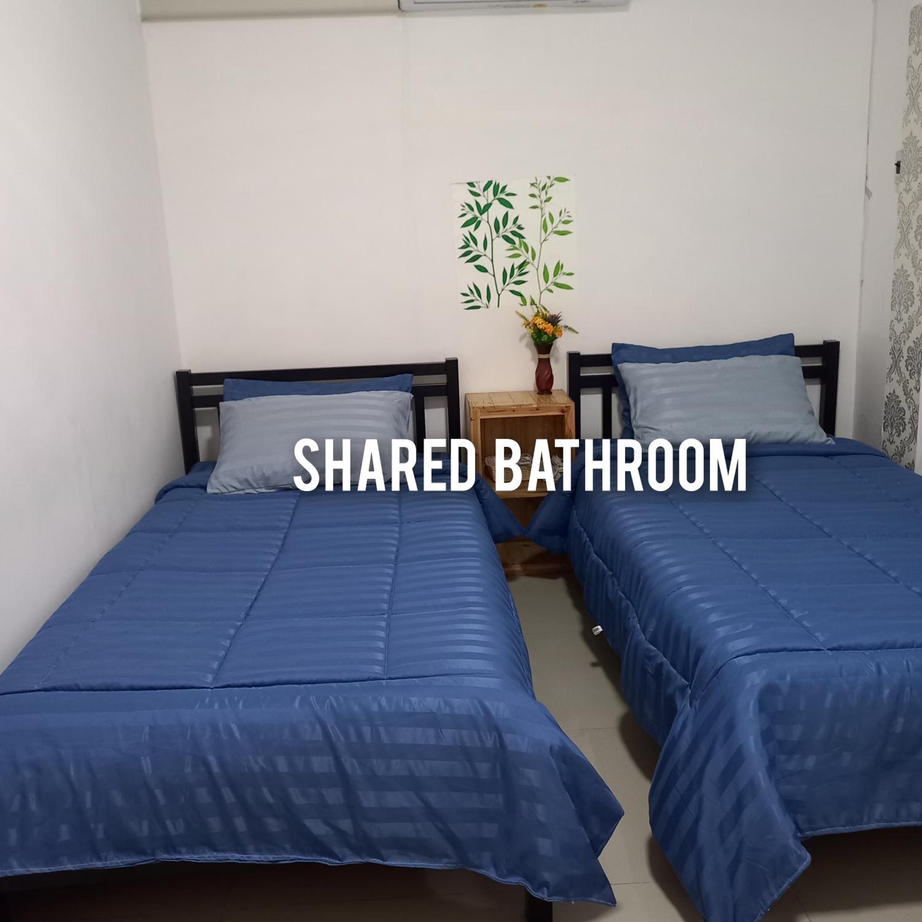 Standard Twin Room photo 3
