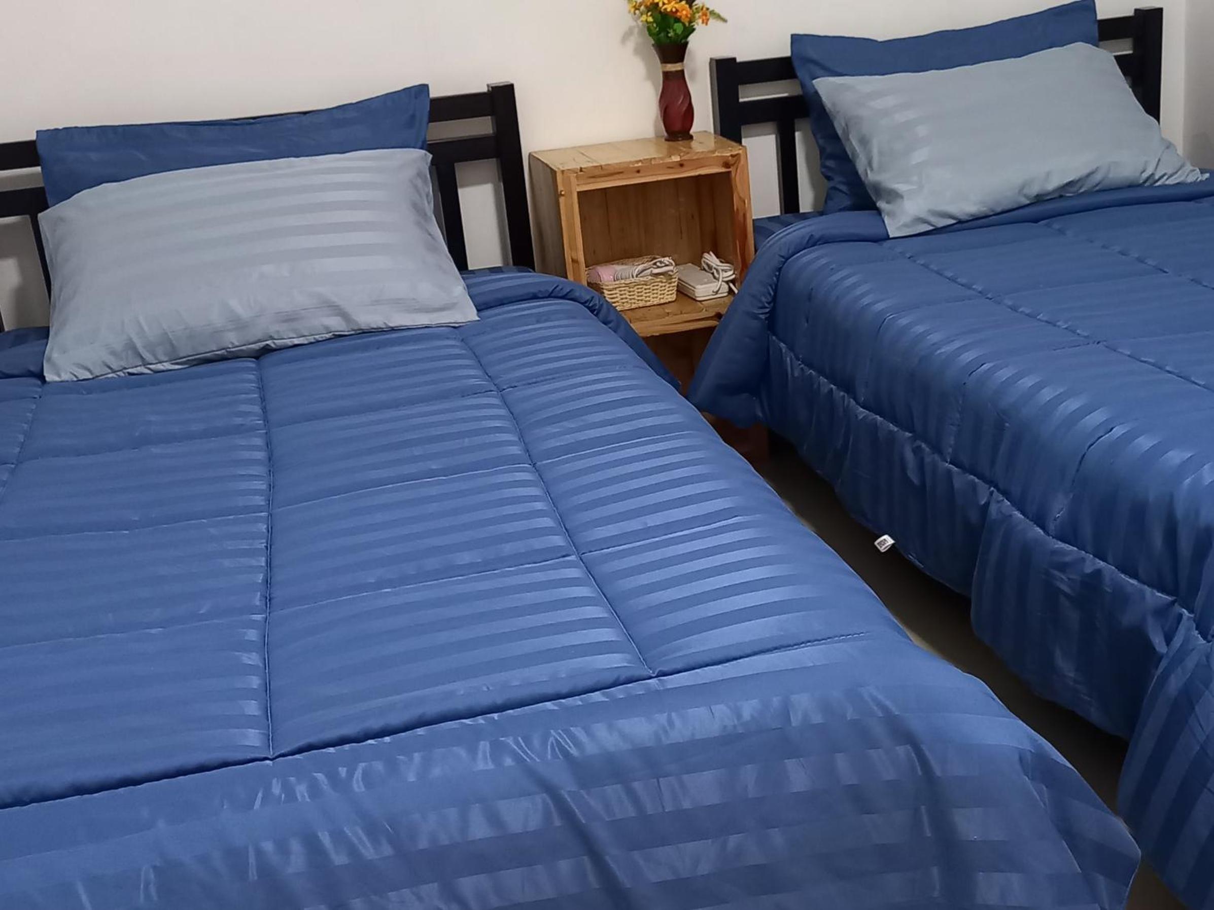 Standard Twin Room photo 1
