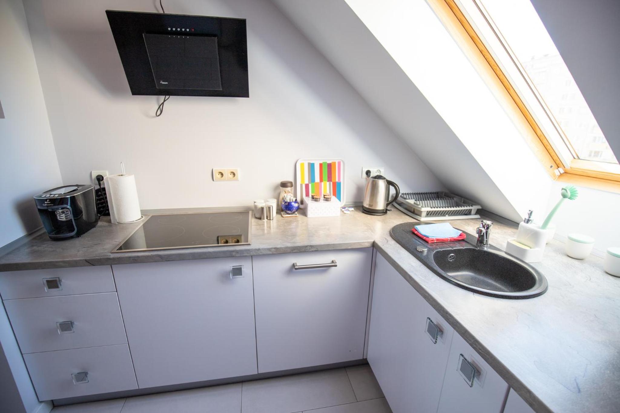 Penthouse Apartment - Photo 20