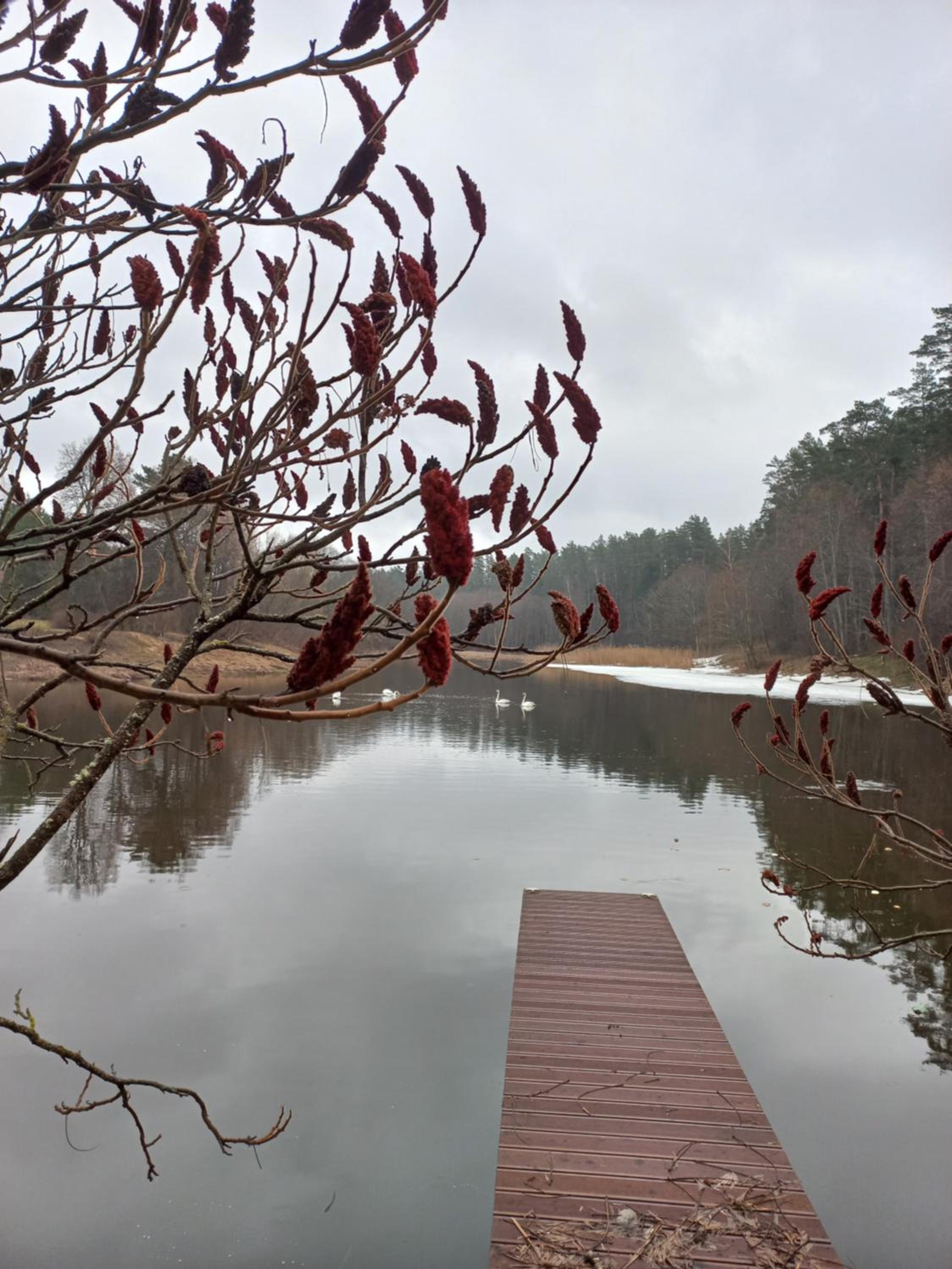 Vacation Home - Photo 48