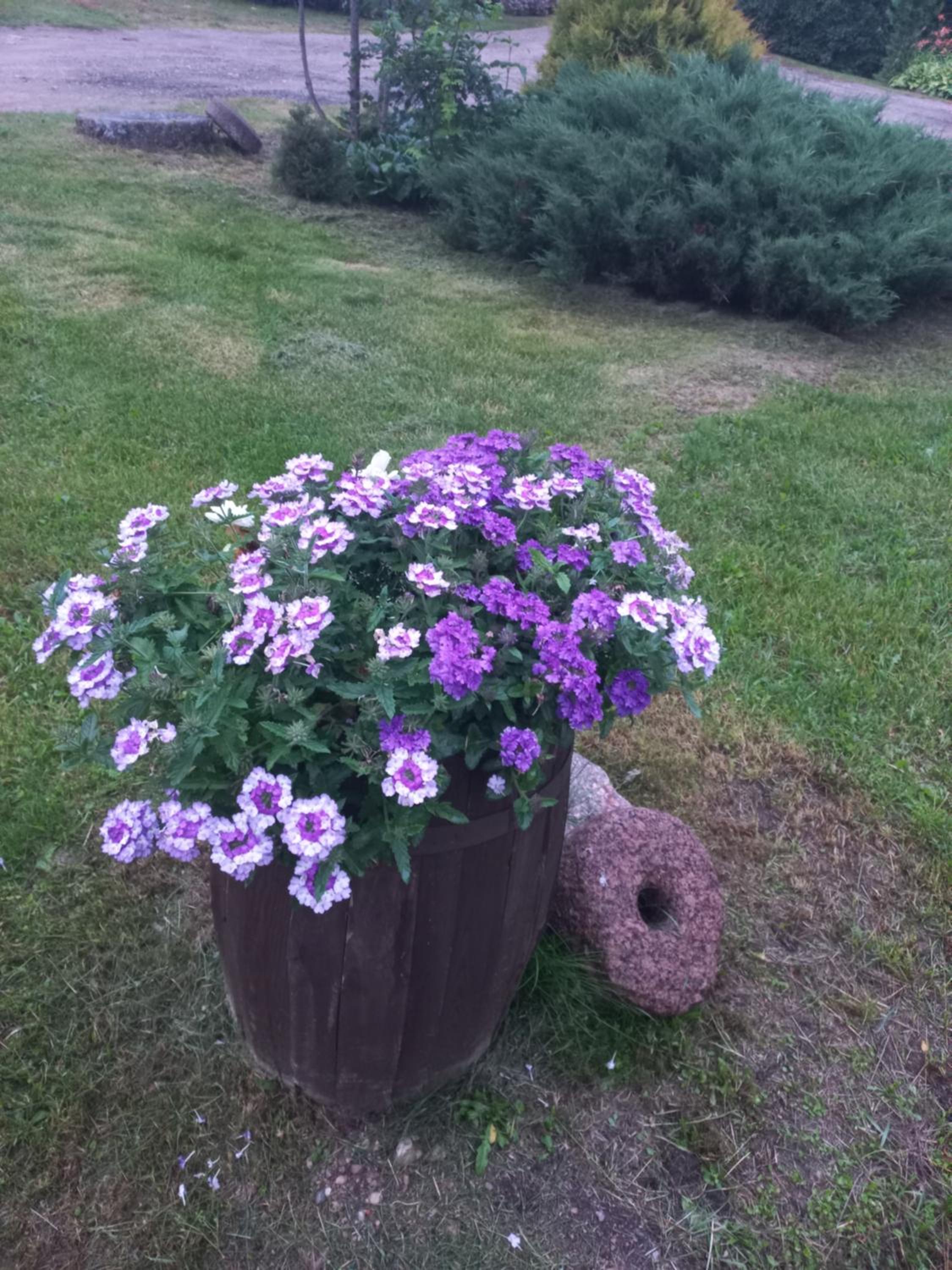 Vacation Home - Photo 45