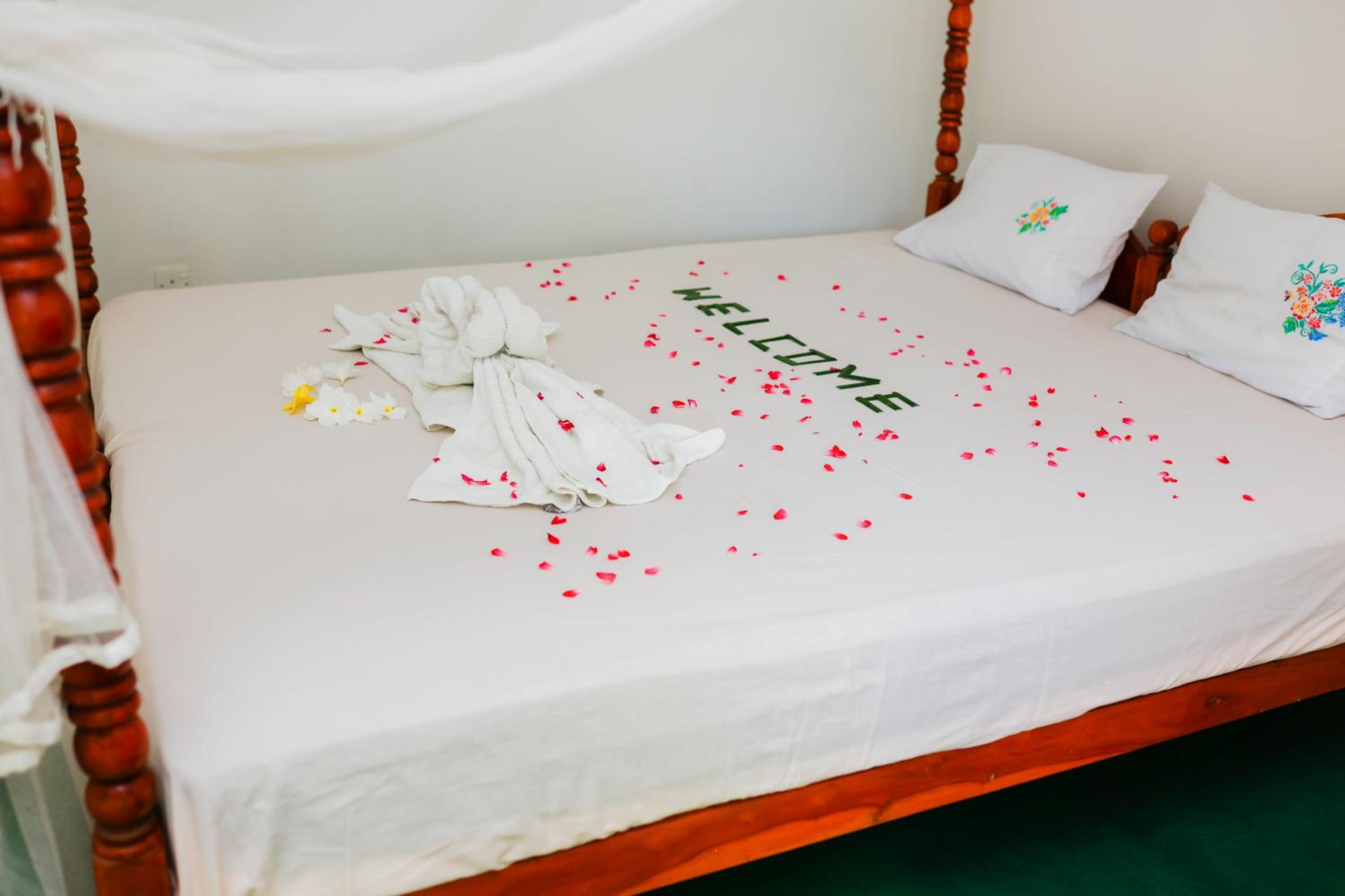 Double Room with Garden View photo 1