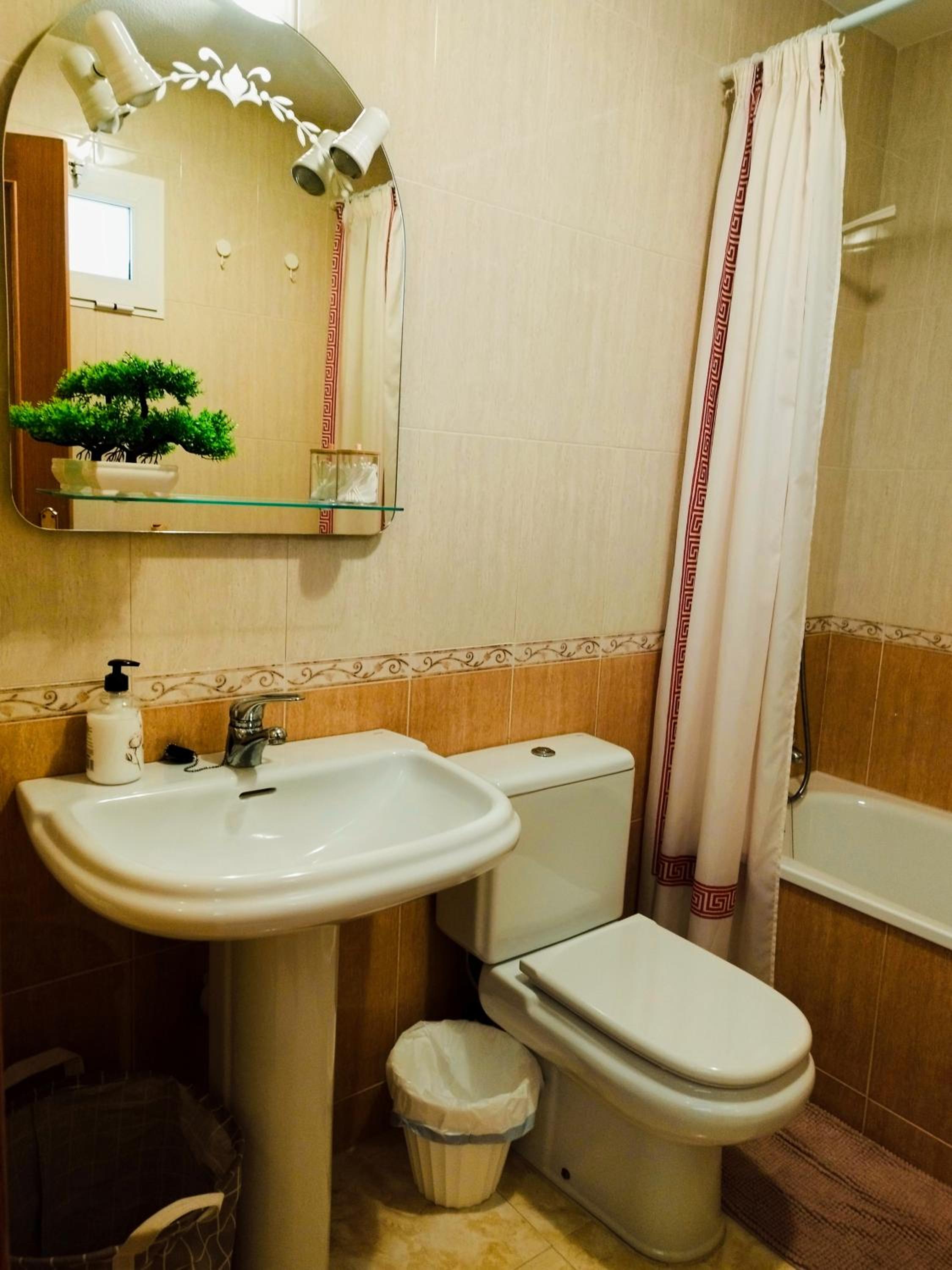One-Bedroom Apartment photo 2