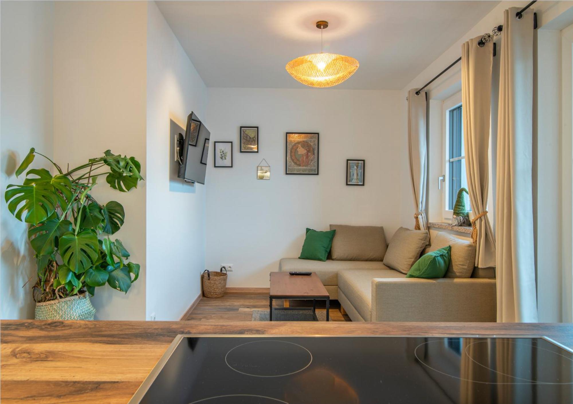 Apartment with Terrace