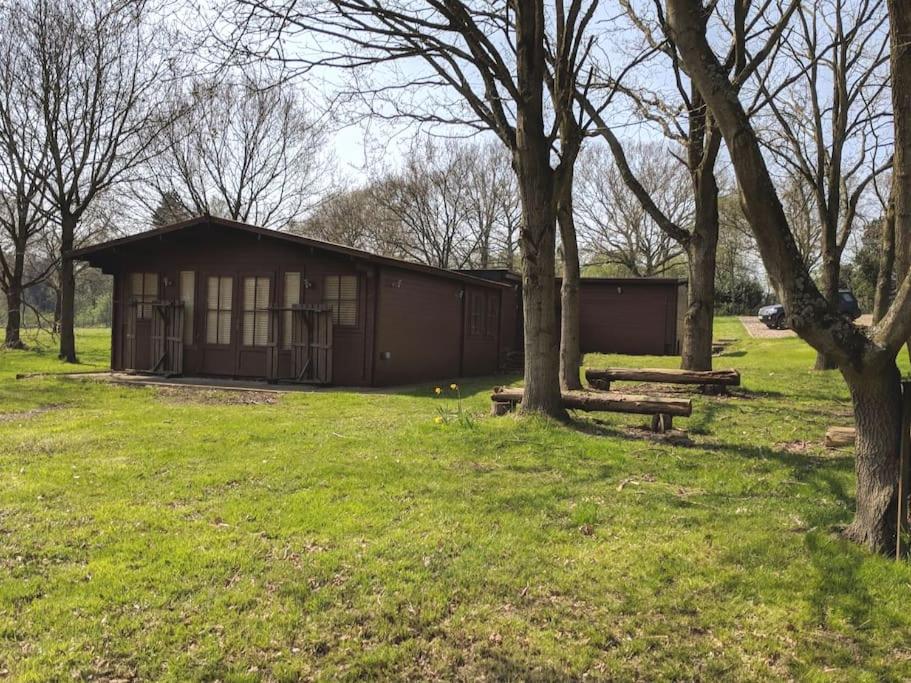 Three-Bedroom House photo 2