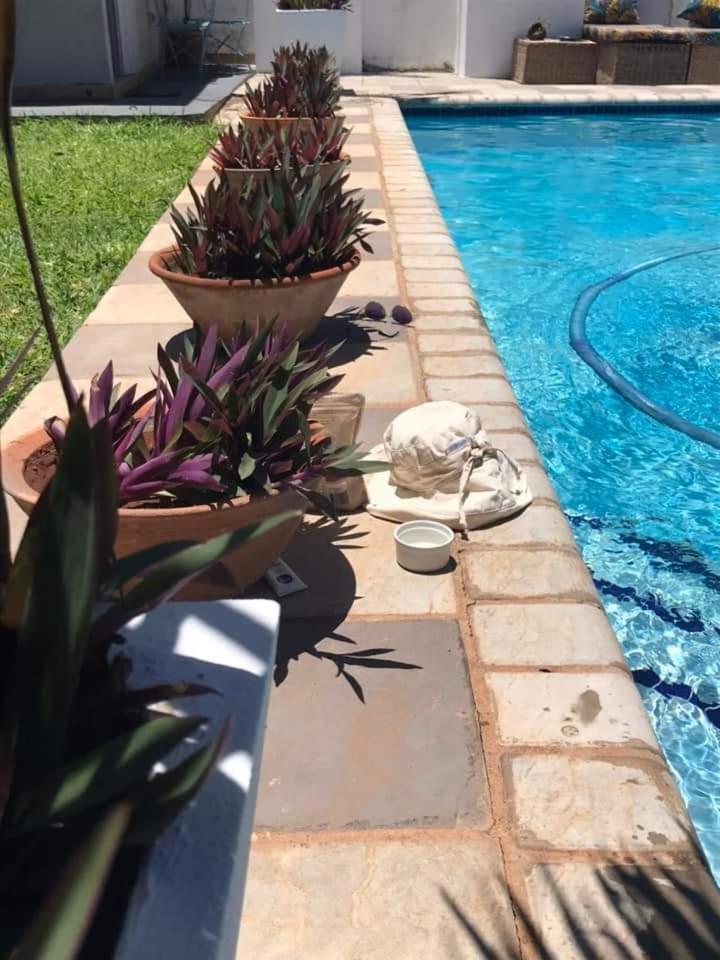 Queen Suite with Pool View photo 2