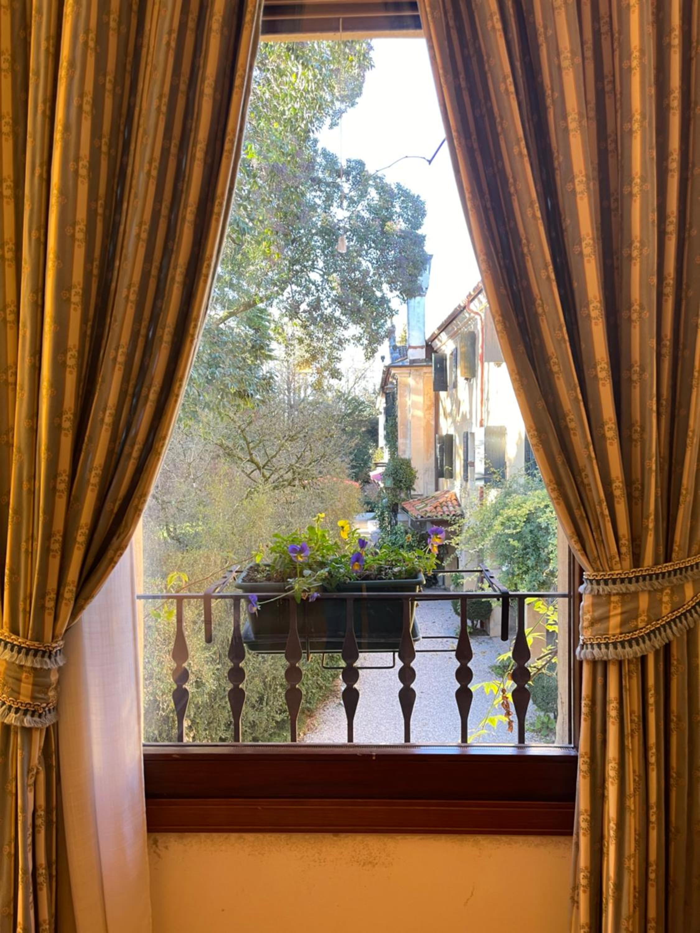 Junior Suite photo 2