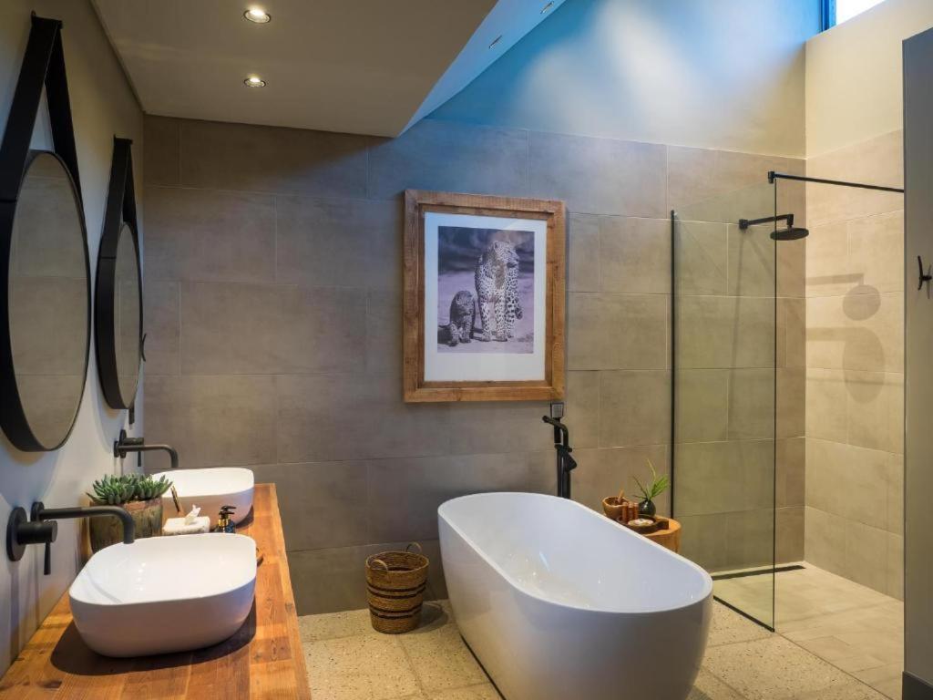 Luxury Villa photo 2